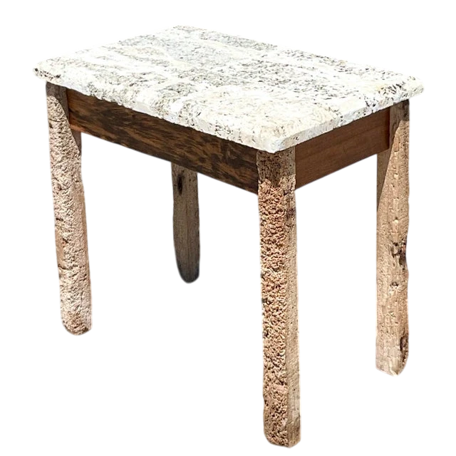 Vintage Coastal Florida Keys Petrified Wood Table with Coquina Stone Slab Top