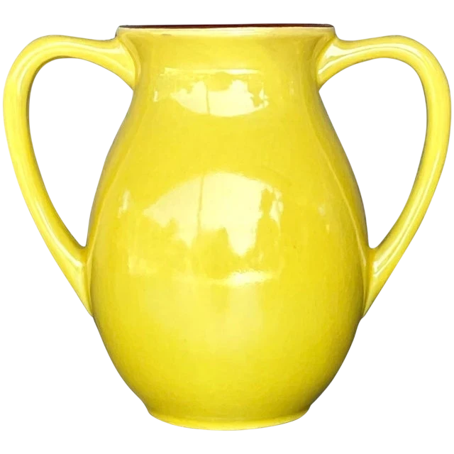 Vintage Boho Glazed Ceramic Two Handle Vase