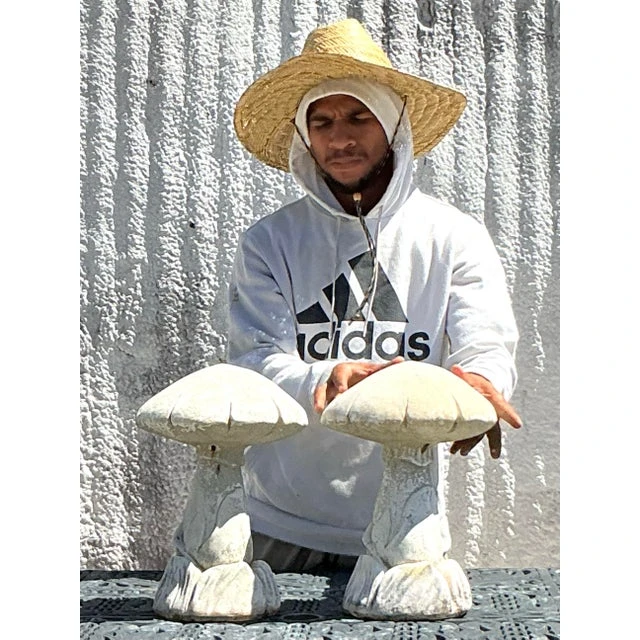 Vintage Boho Cast Stone Mushrooms - A Pair - Top view