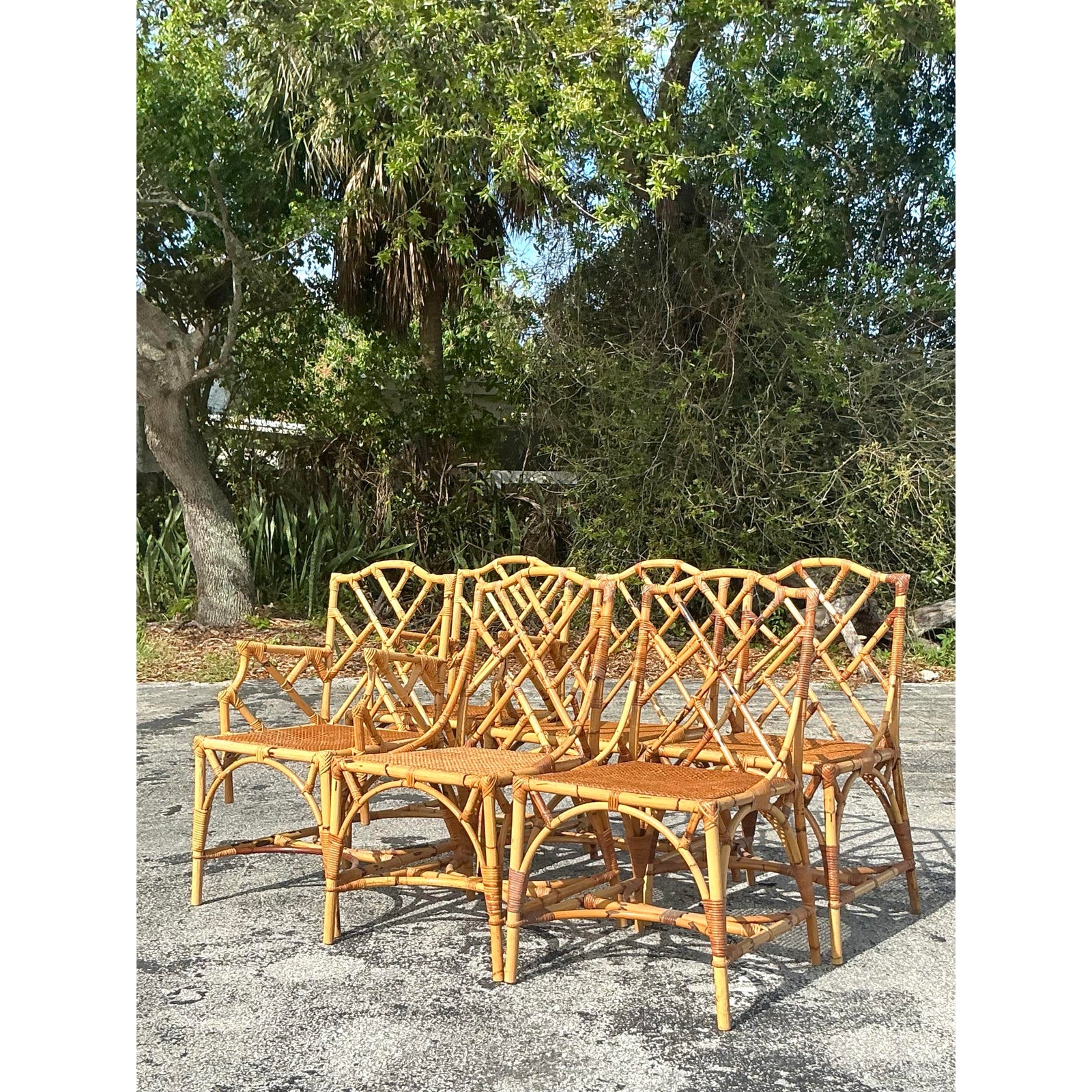 Vintage Coastal Chinese Chippendale Dining Chairs - Set of 6 - Back view