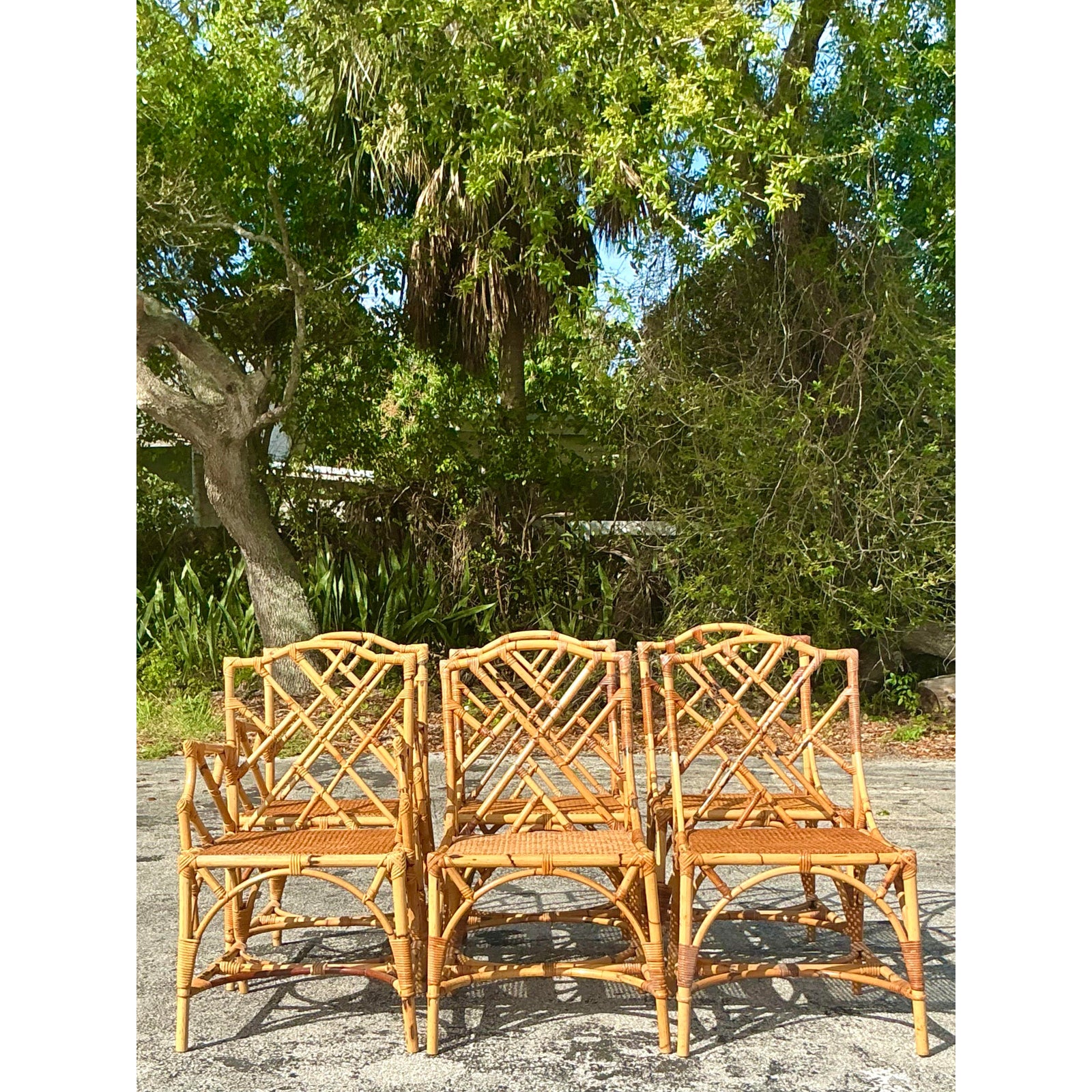 Vintage Coastal Chinese Chippendale Dining Chairs - Set of 6 - Side view