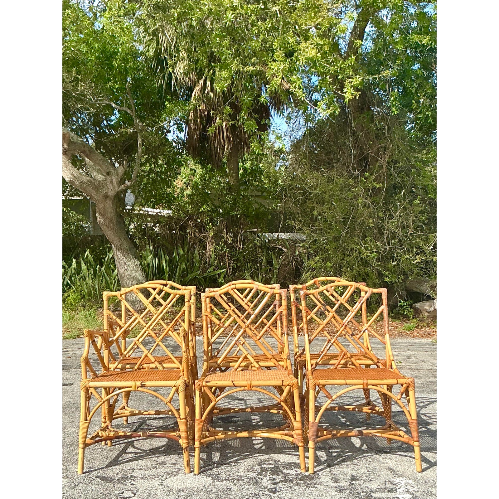 Vintage Coastal Chinese Chippendale Dining Chairs - Set of 6 - Detail view