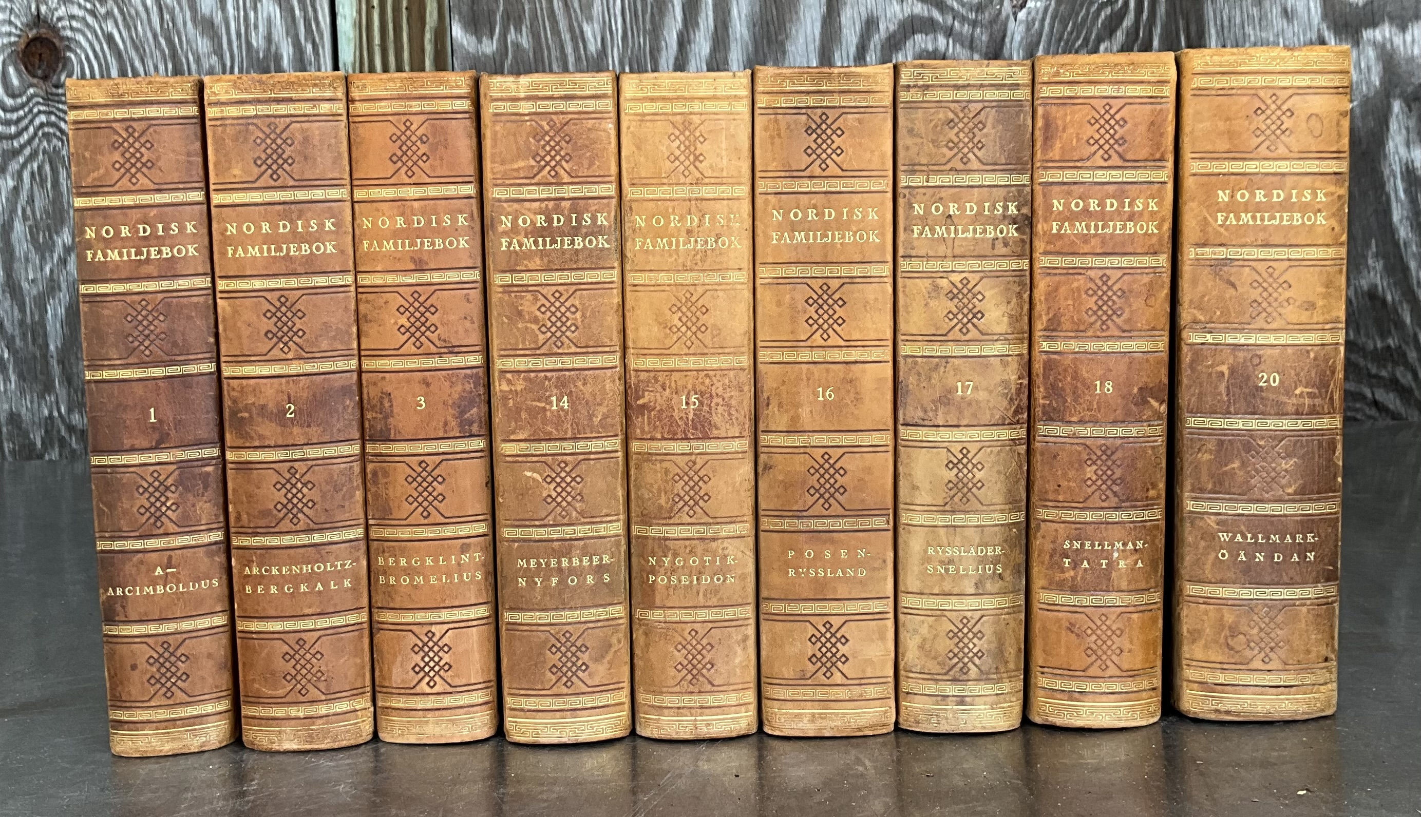 Nordisk Familjebok Swedish Encyclopedia Various Volumes - Detail view