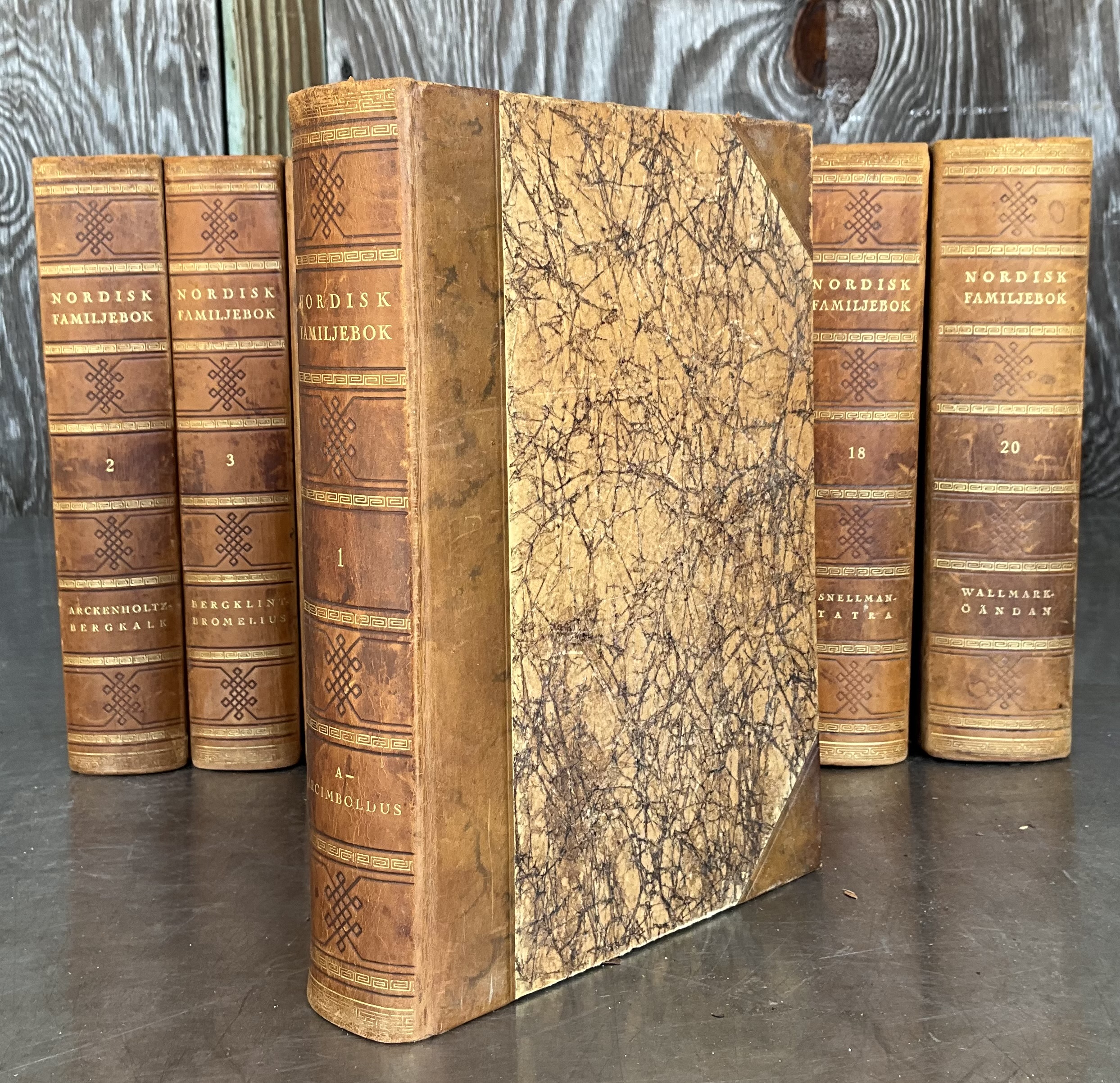 Nordisk Familjebok Swedish Encyclopedia Various Volumes - Side view
