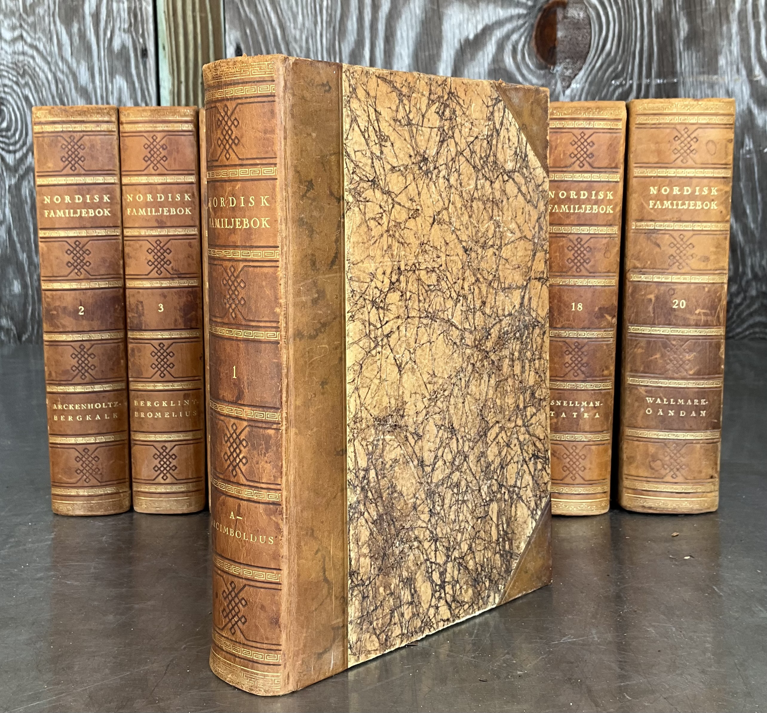 Nordisk Familjebok Swedish Encyclopedia Various Volumes - Back view