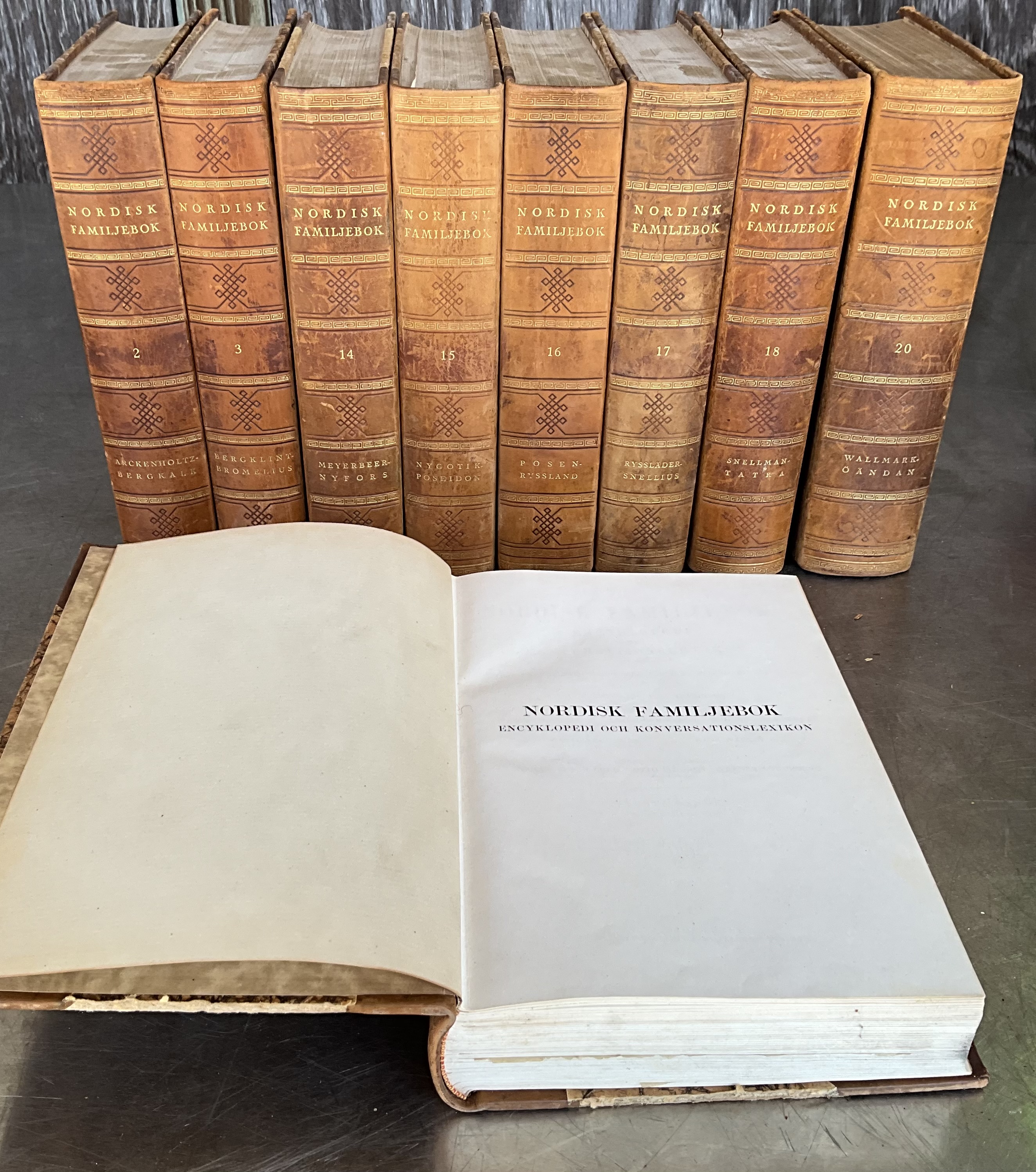 Nordisk Familjebok Swedish Encyclopedia Various Volumes - Top view
