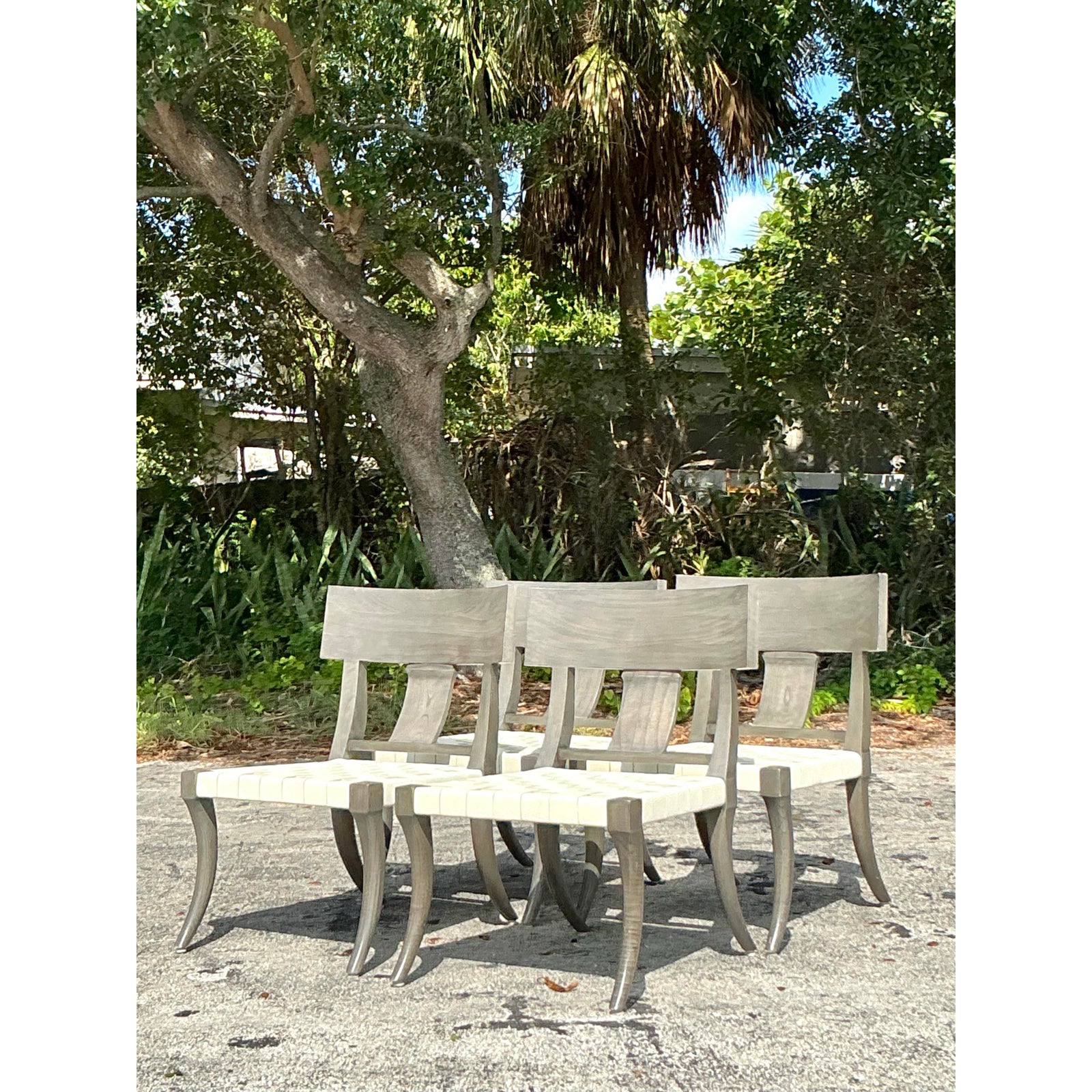 Vintage Boho Oly Washed Klismos Dining Chairs - Set of 4 - Detail view