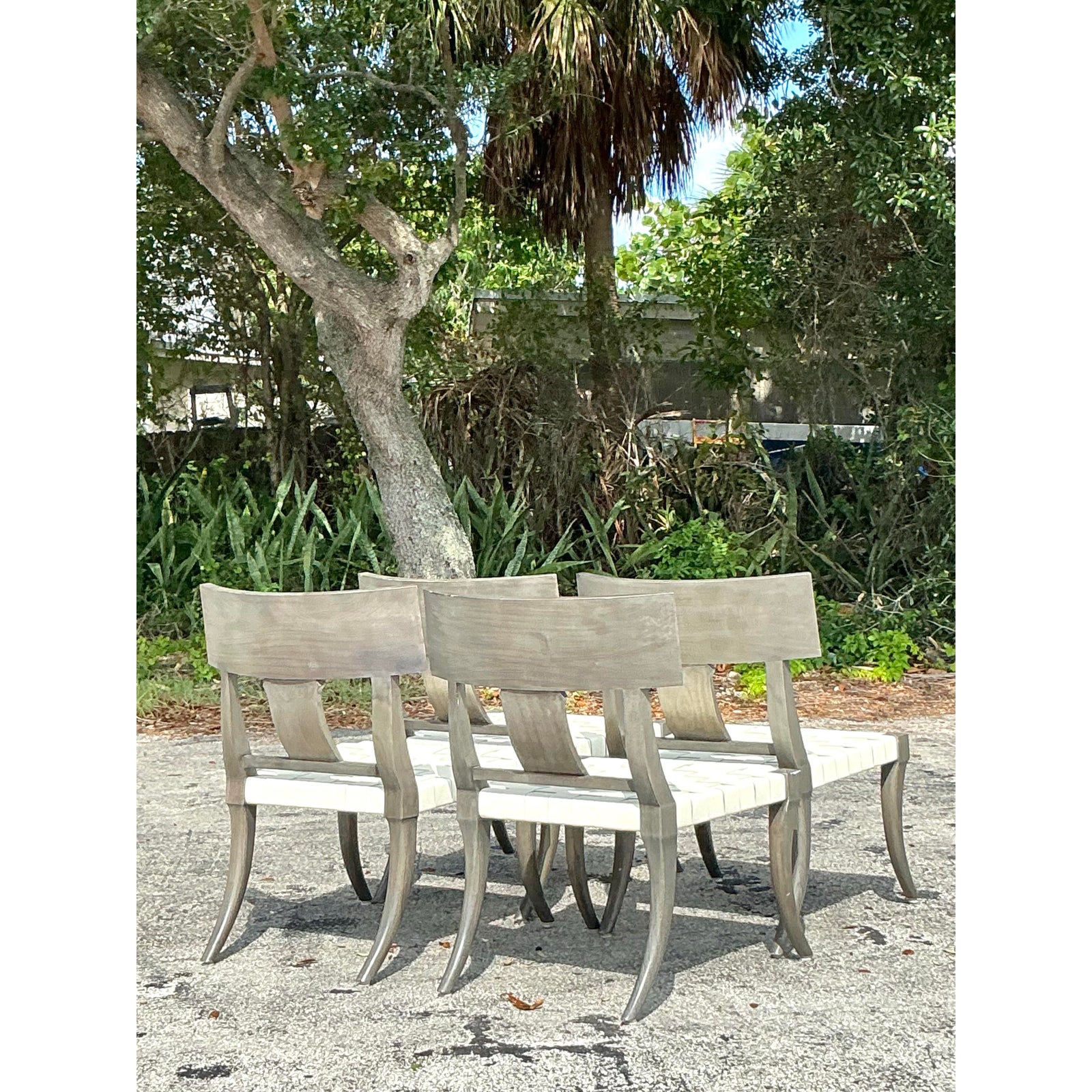 Vintage Boho Oly Washed Klismos Dining Chairs - Set of 4 - Side view