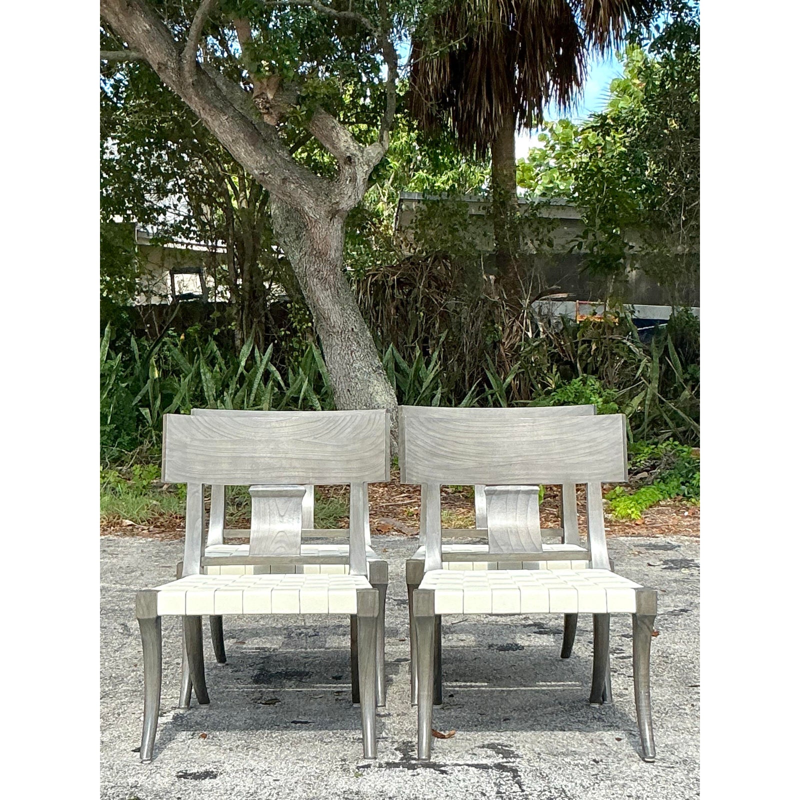 Vintage Boho Oly Washed Klismos Dining Chairs - Set of 4 - Back view