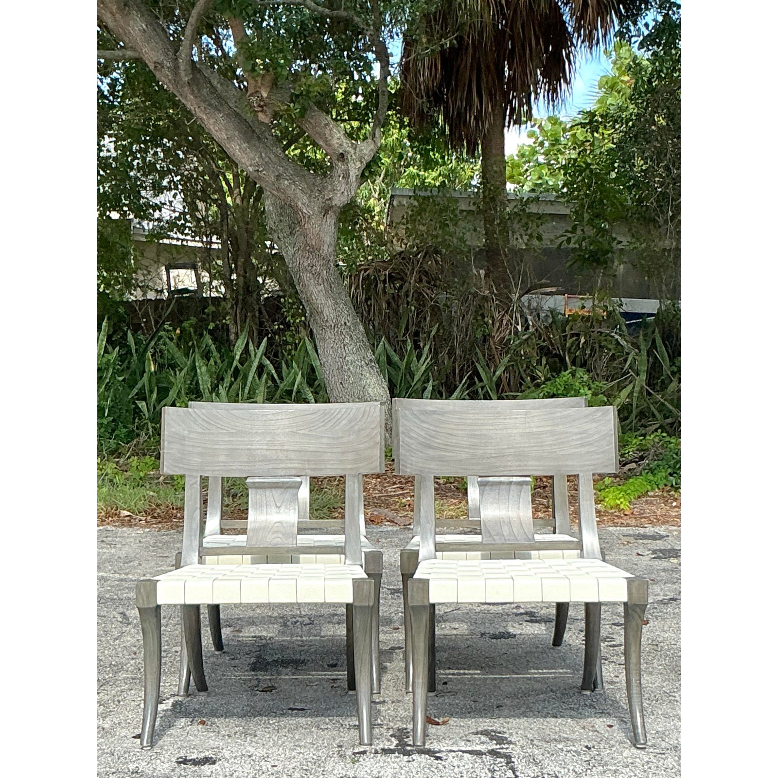 Vintage Boho Oly Washed Klismos Dining Chairs - Set of 4 - Top view