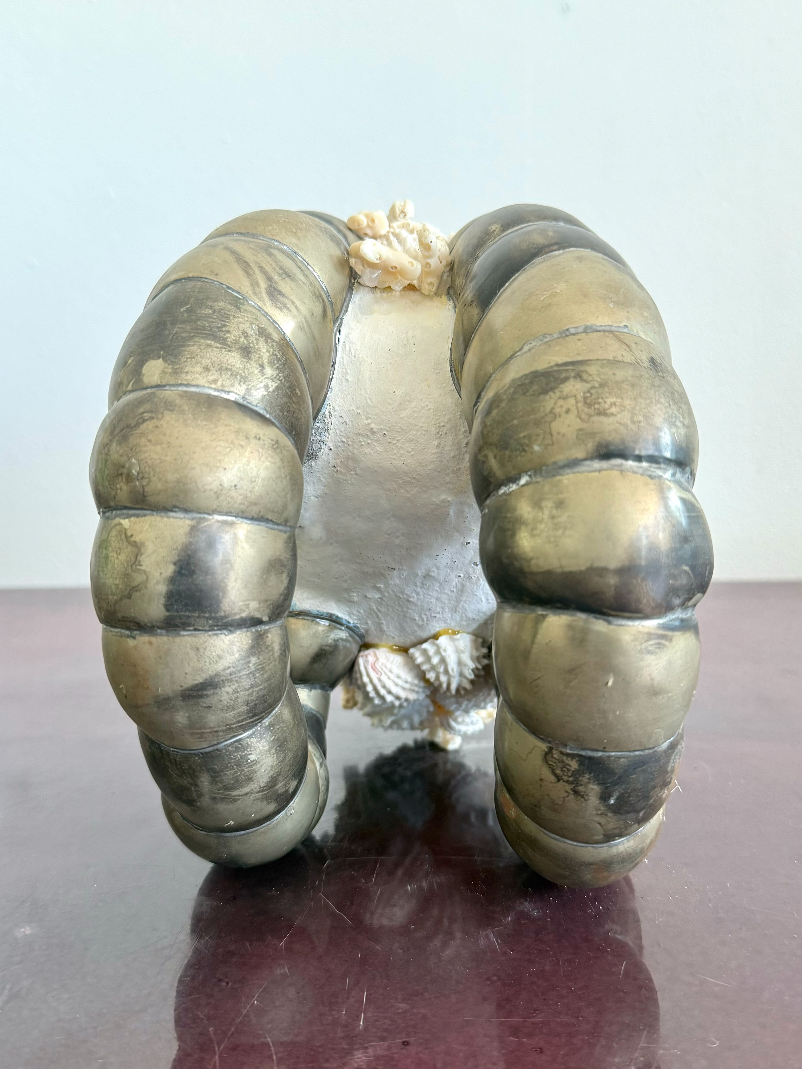 Vintage Coastal Shell Encrusted Ram Head Sculpture - Top view