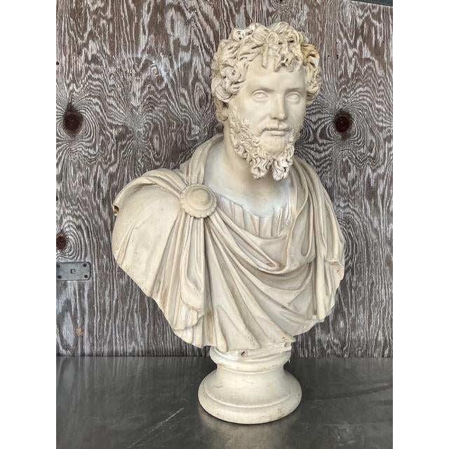 Vintage Grand Tour Resin Bust of Septimus Severus - Top view