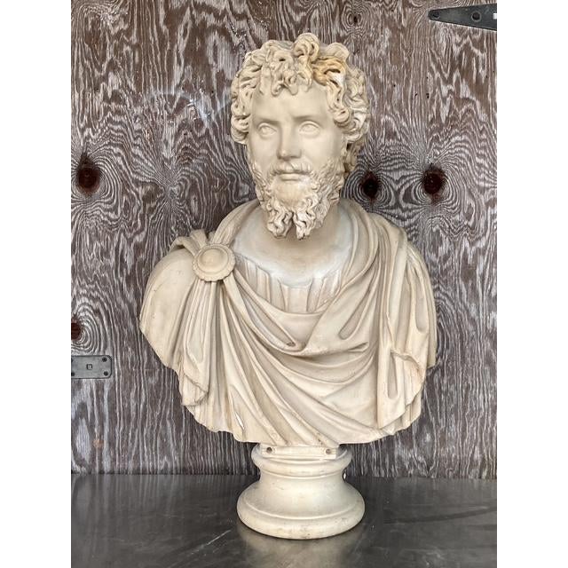 Vintage Grand Tour Resin Bust of Septimus Severus - Detail view