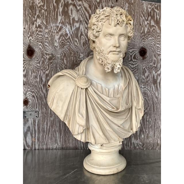 Vintage Grand Tour Resin Bust of Septimus Severus - Side view