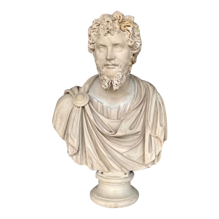 Vintage Grand Tour Resin Bust of Septimus Severus