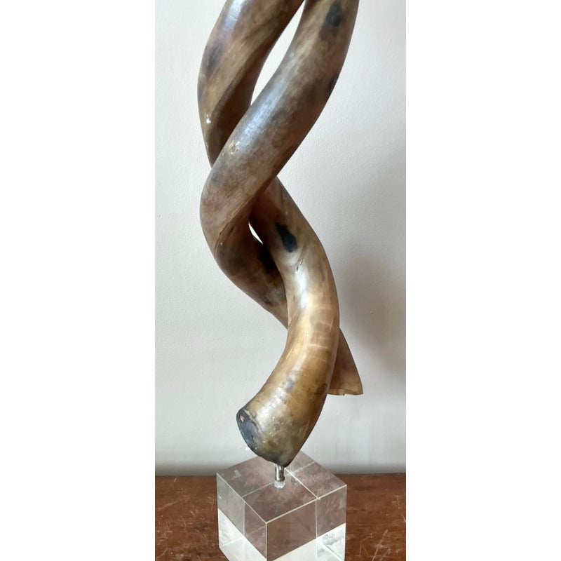 Vintage Boho Twisted Horn Sculpture on Lucite - Back view