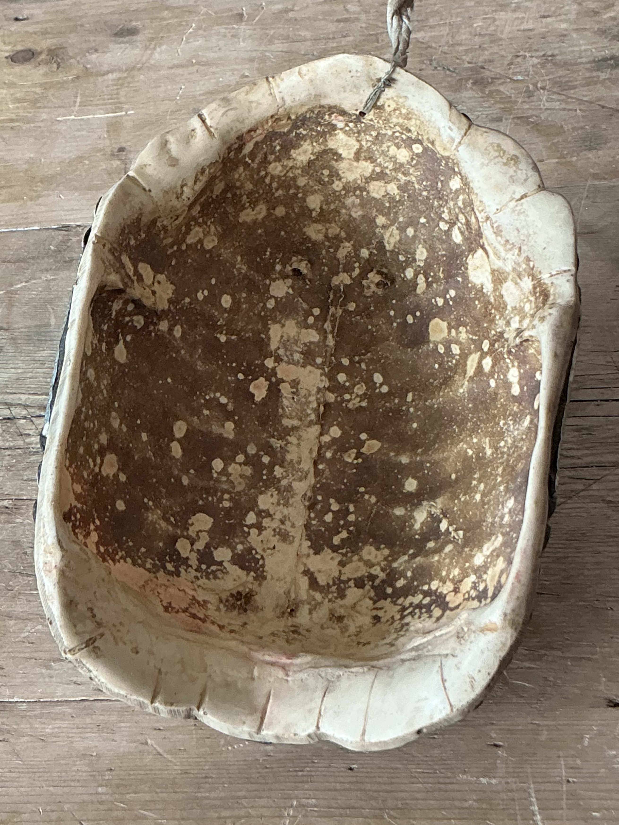 Vintage Boho Tibetan Kapqla Turtle Shell Mask - Top view
