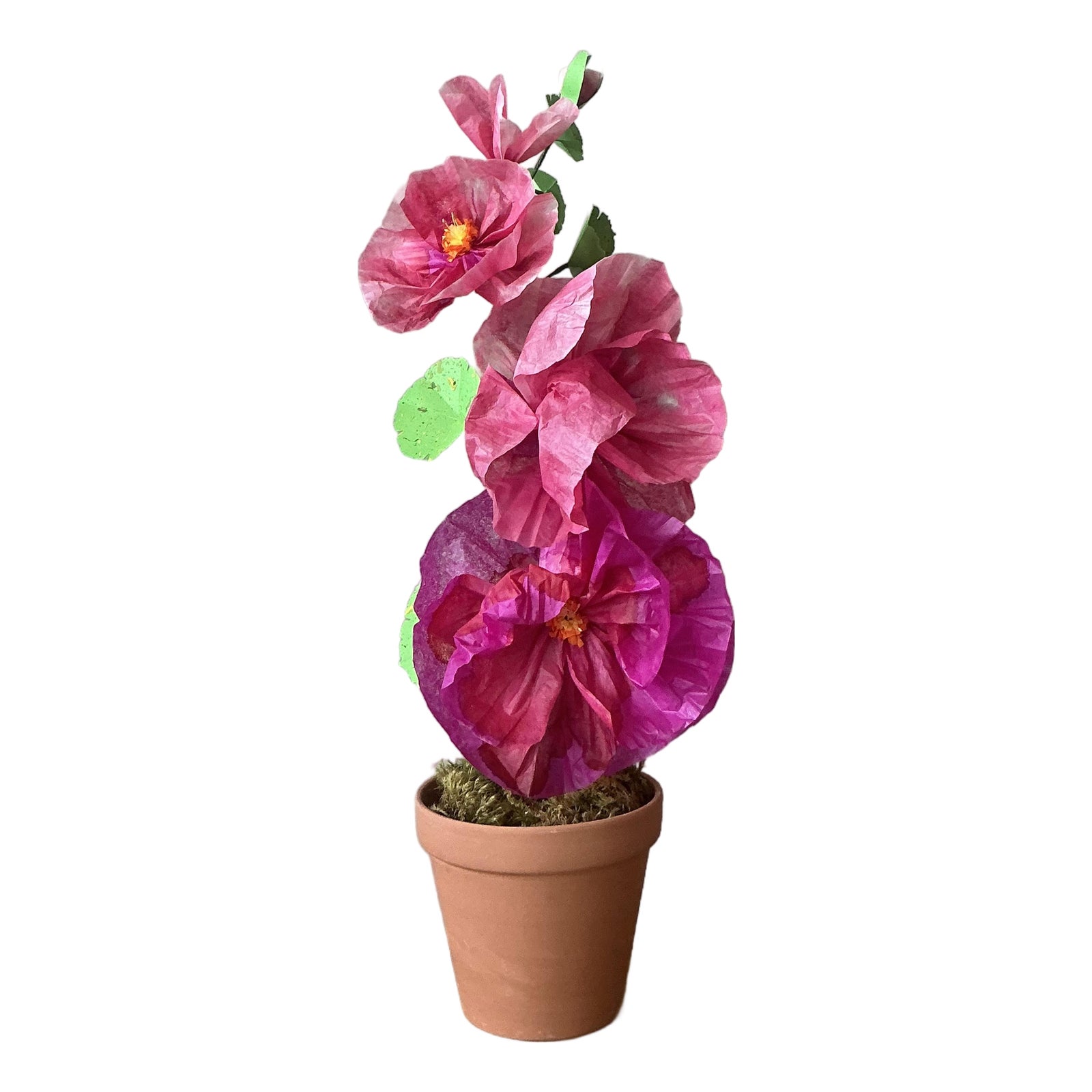 Contemporary Hand-Rolled Paper Flowers