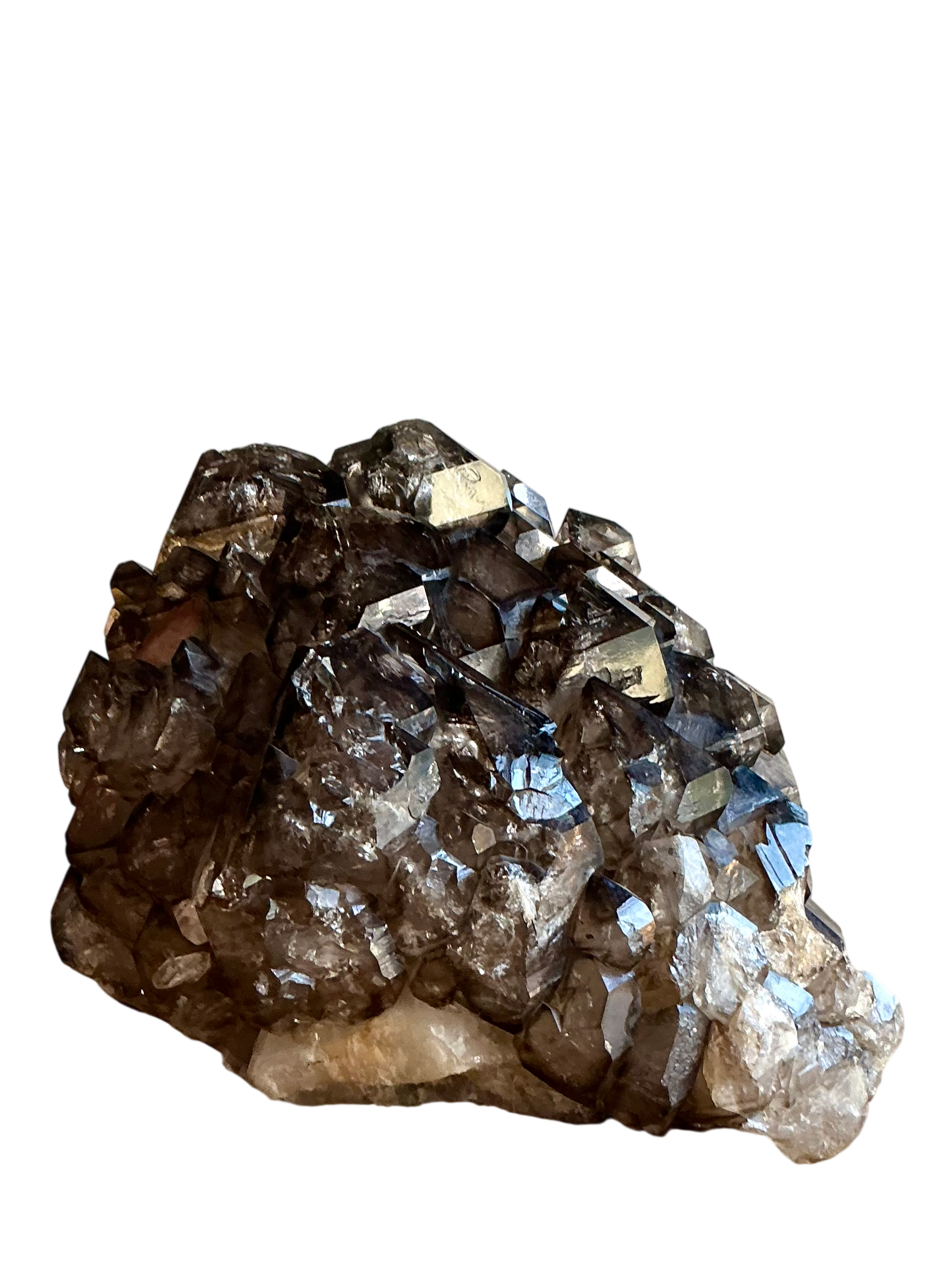Vintage Monumental Jacare Smokey Quartz