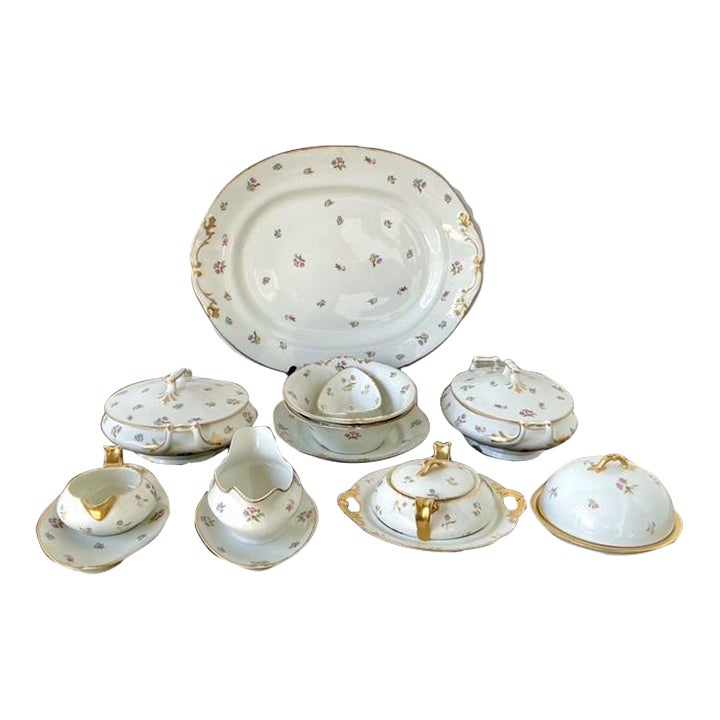 Vintage Regency Limoges China Floral Serving Pieces - Set of 12