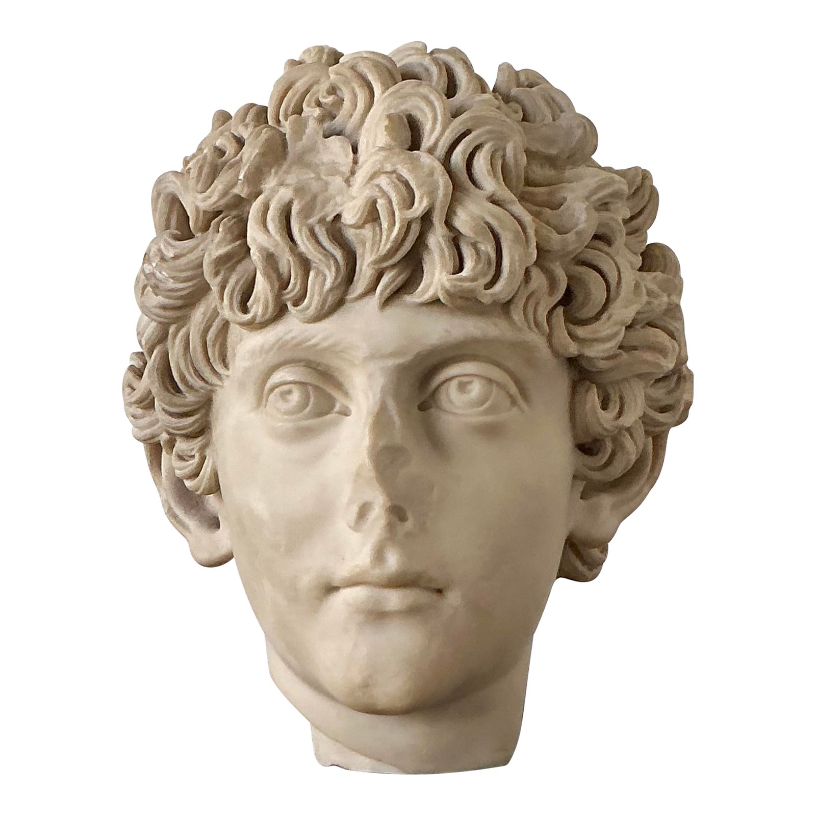 Vintage Boho Cast Marble Bust of Marcus Aurelius