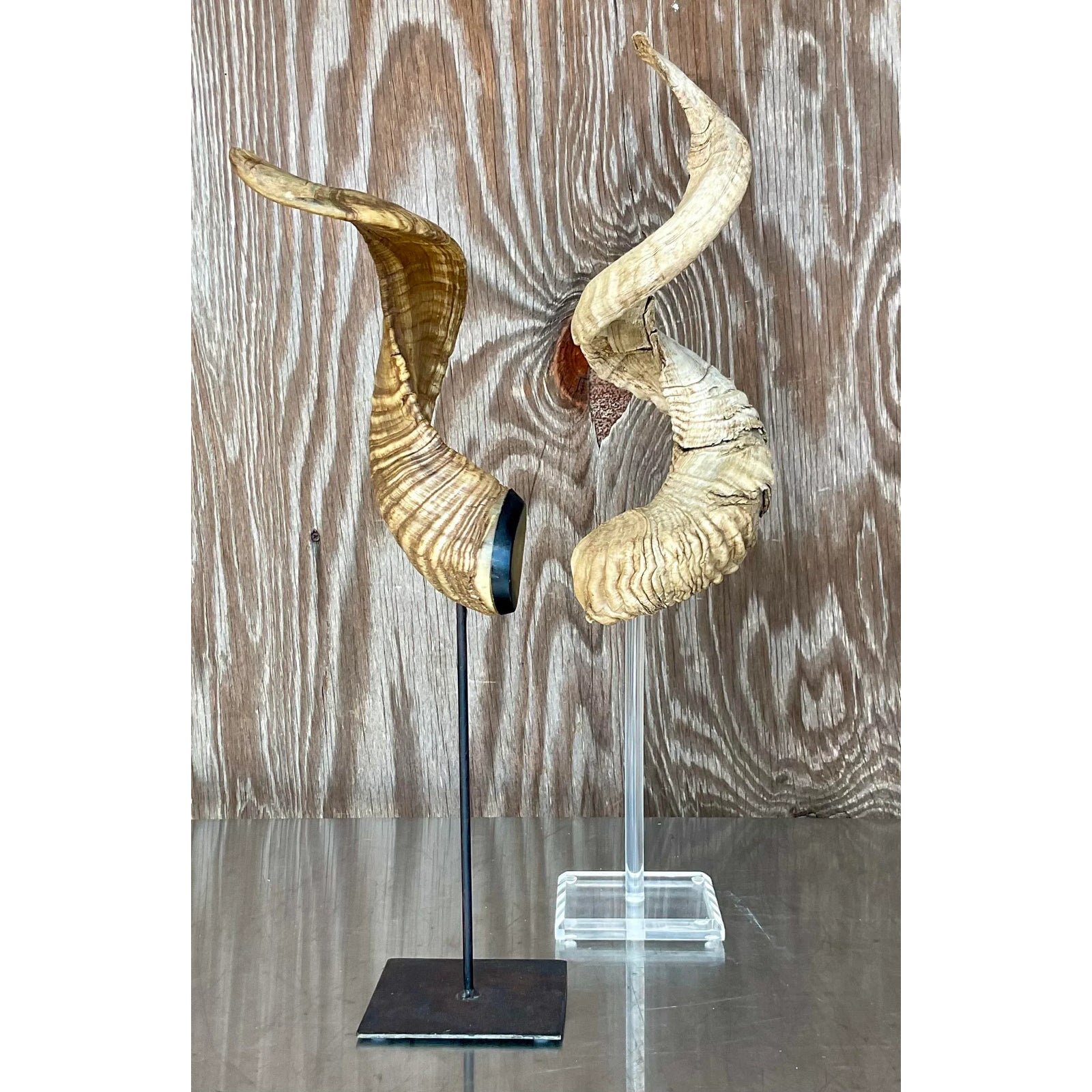 Vintage Boho Set of Single Antlers - Side view