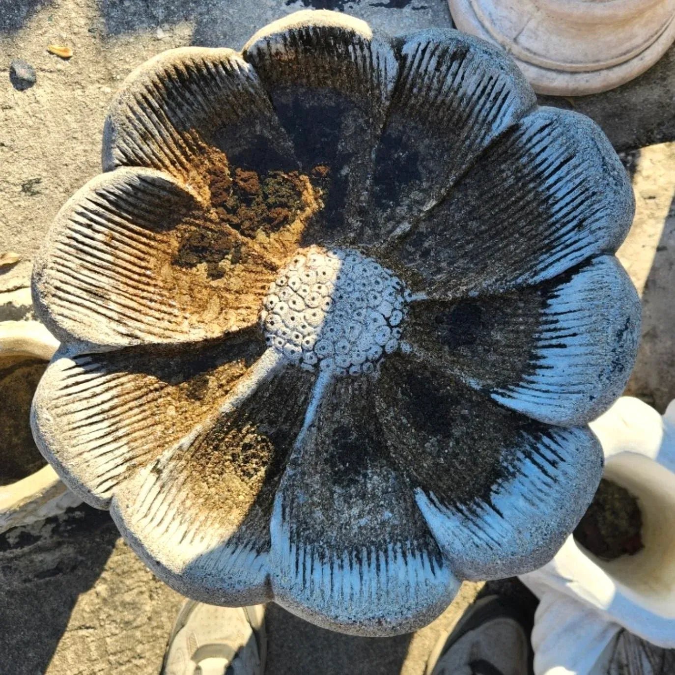 Vintage Boho Cast Concrete Flower Bird Bath - Top view