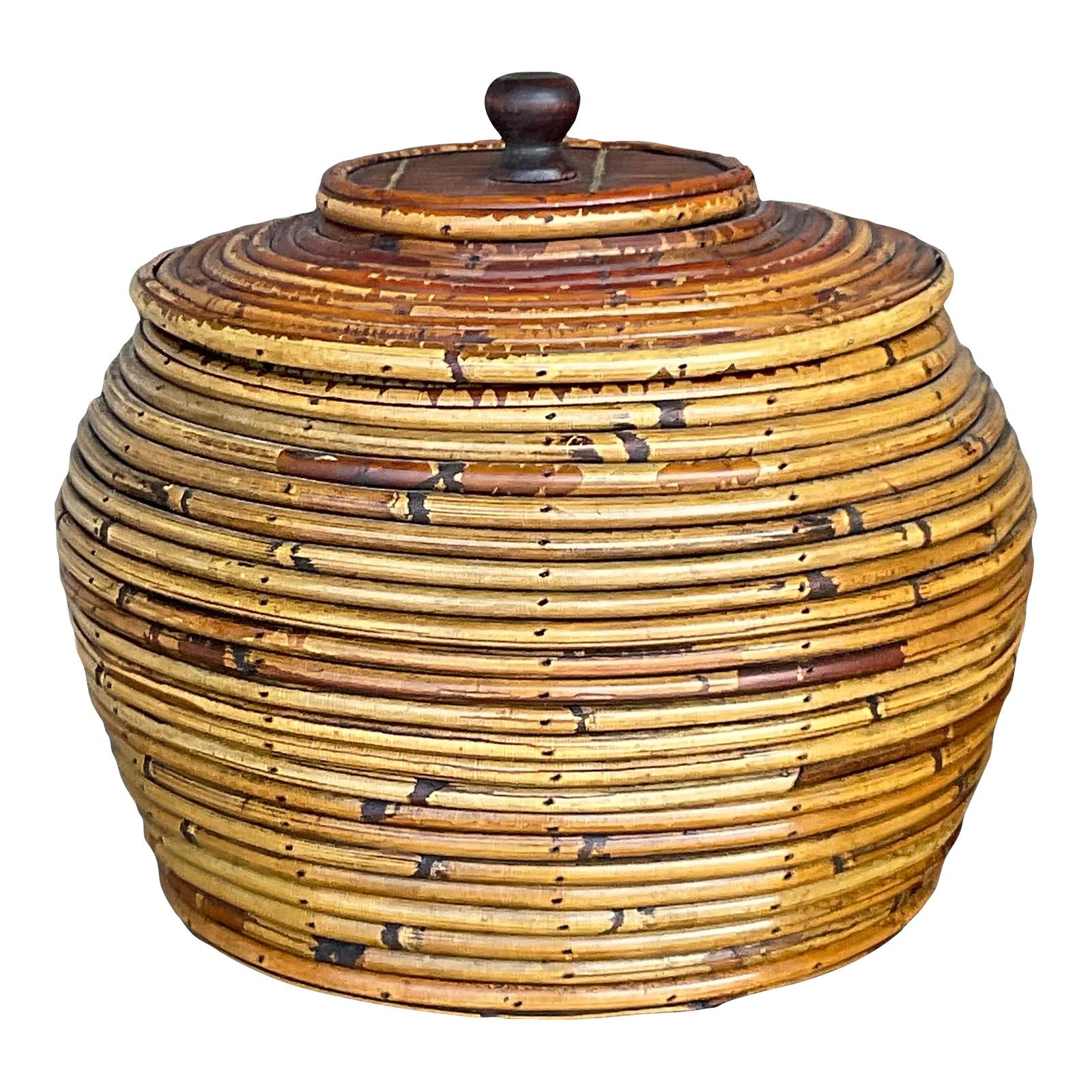 Vintage Costal Pencil Reed Low Lidded Urn