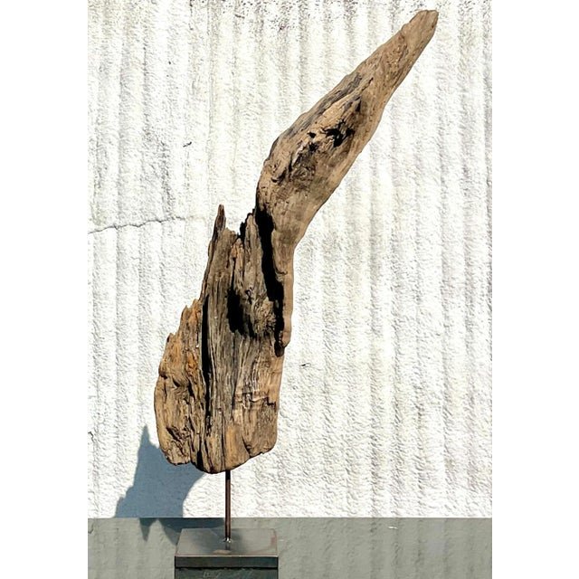 Late 20th Century Driftwood Sculpture on Steel Plinth - Detail view