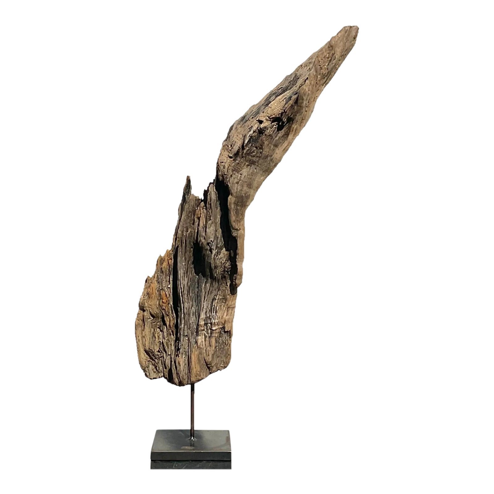Late 20th Century Driftwood Sculpture on Steel Plinth