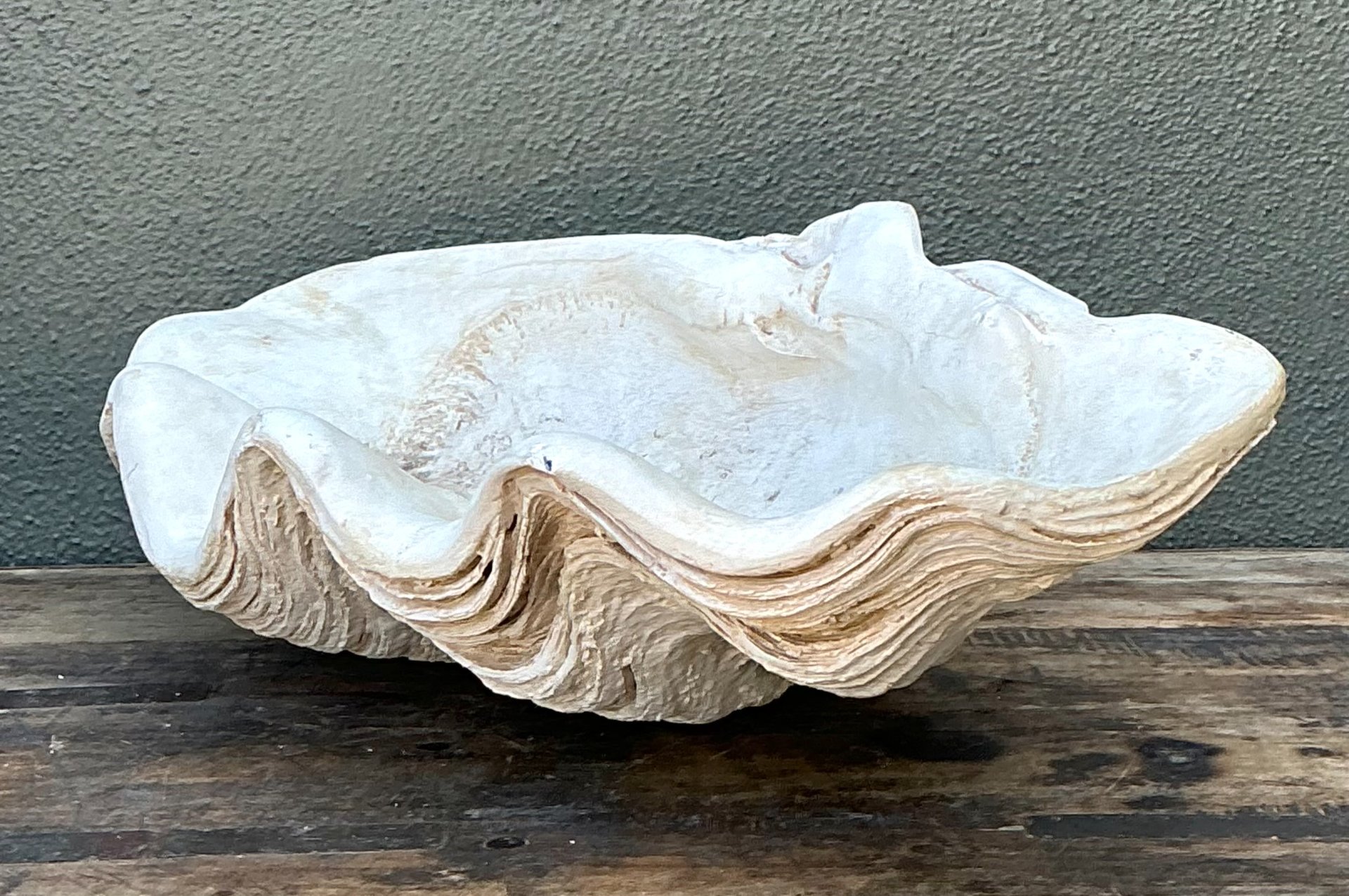 Vintage Gigas Giant Clamshell #13 - Detail view