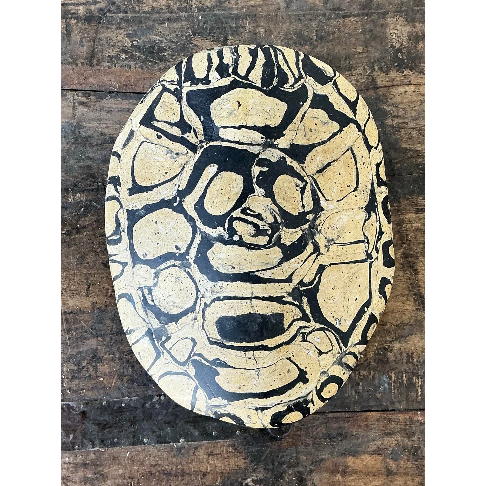 Vintage Italian Scagliola Pigmented Plaster Turtle Shell - Side view