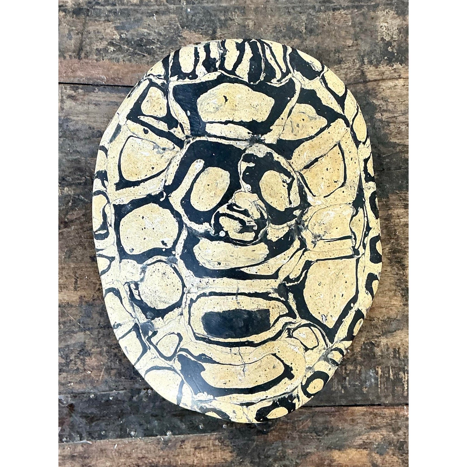 Vintage Italian Scagliola Pigmented Plaster Turtle Shell - Detail view