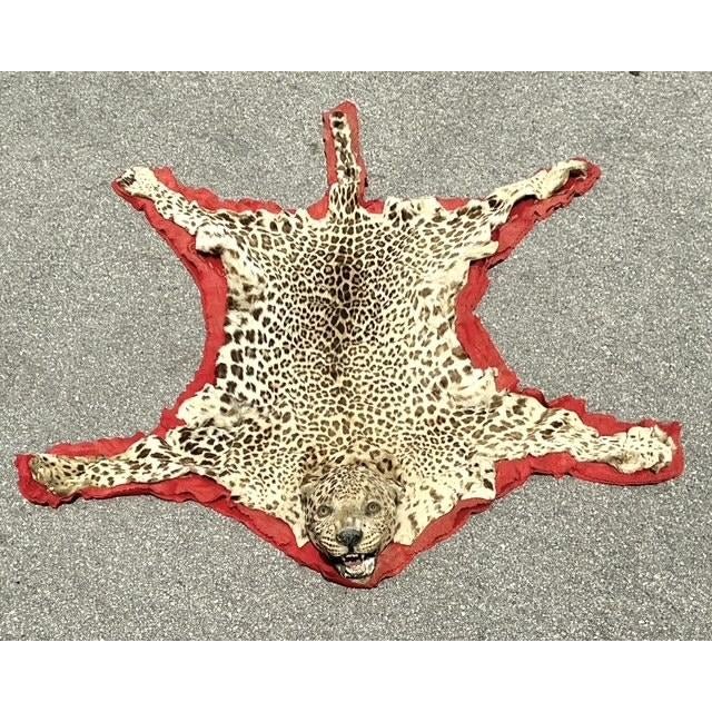 Vintage Felted Leopard Skin Rug - Back view