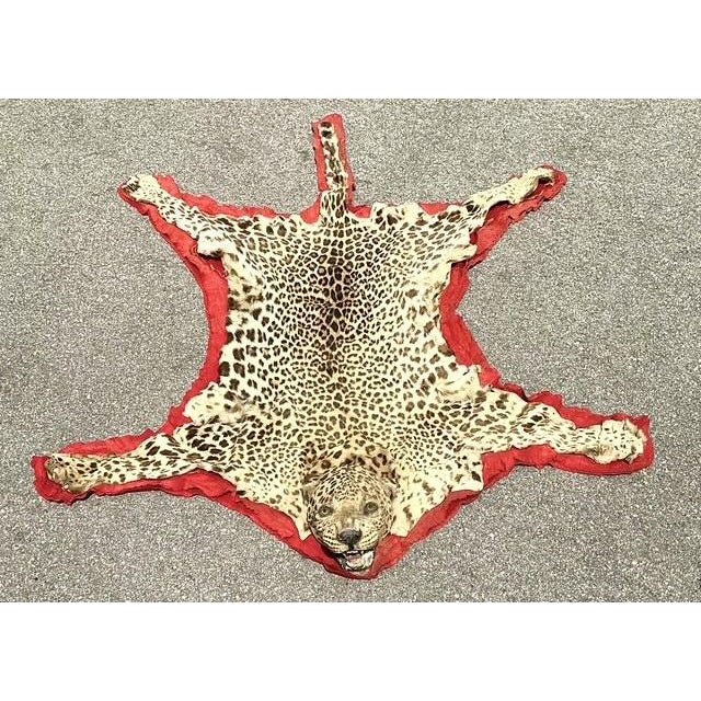 Vintage Felted Leopard Skin Rug - Top view