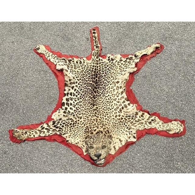 Vintage Felted Leopard Skin Rug - Side view
