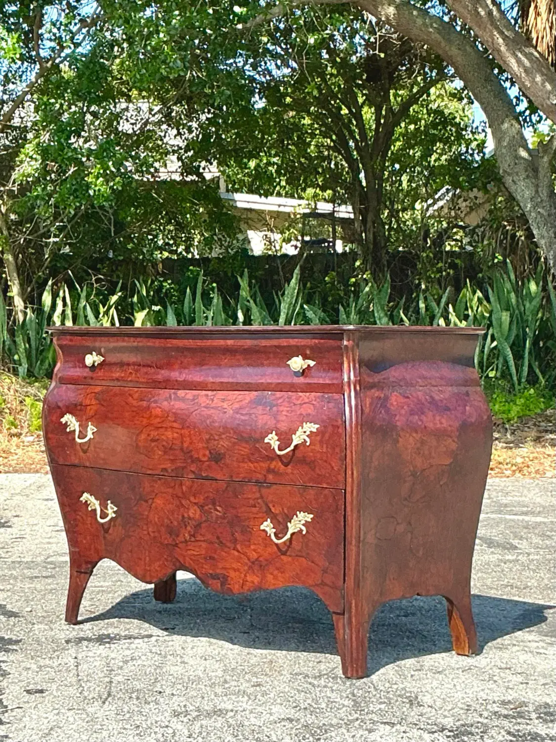 1970s Vintage Regency Olive Burl Wood Bombe Chest - Top view