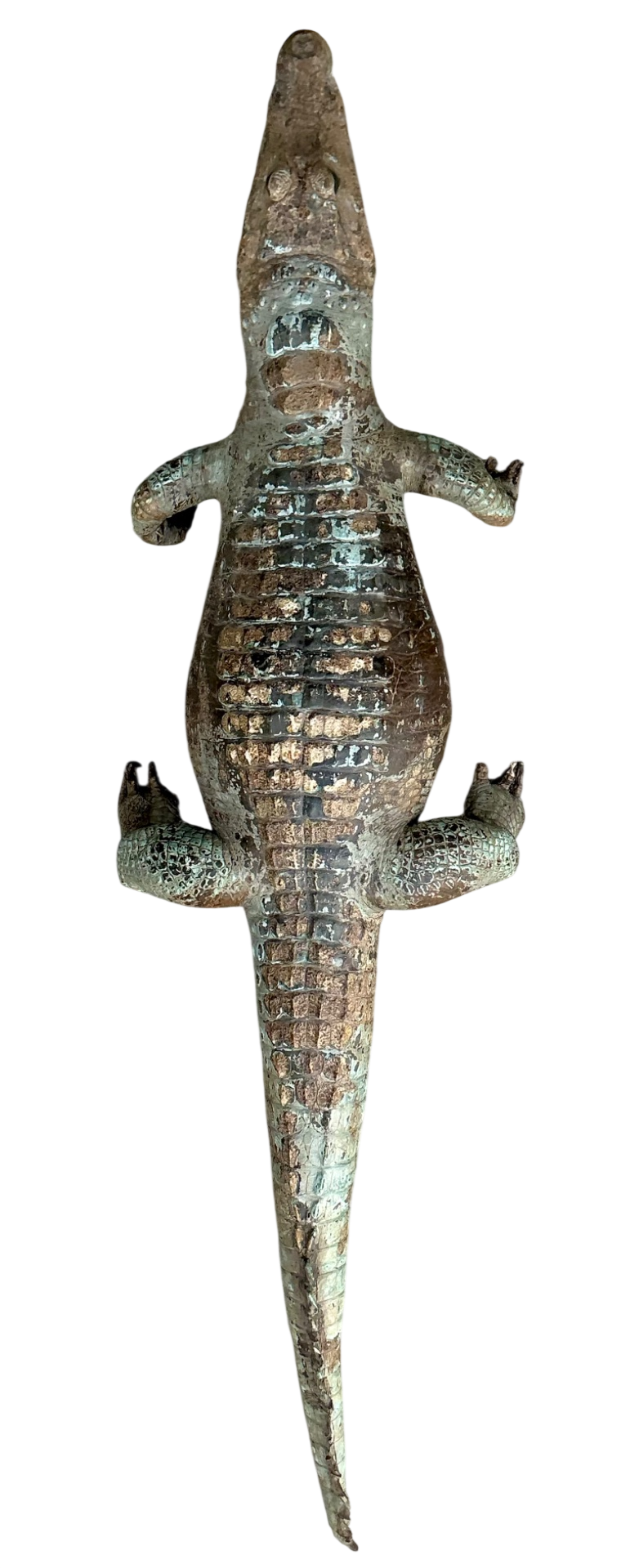 Vintage MCM Taxidermy Alligator