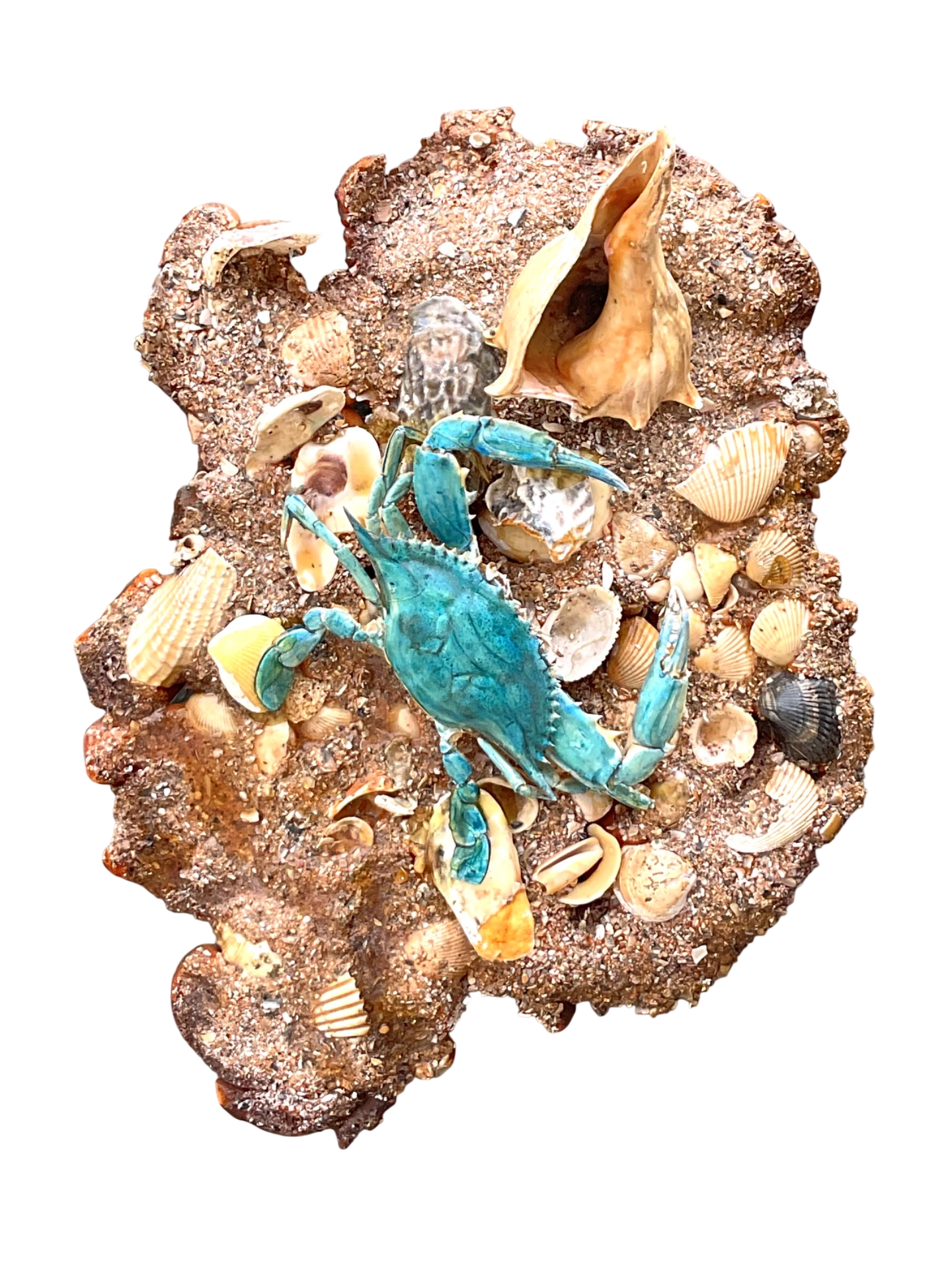 Vintage Coastal Crab and Shells Wall Art