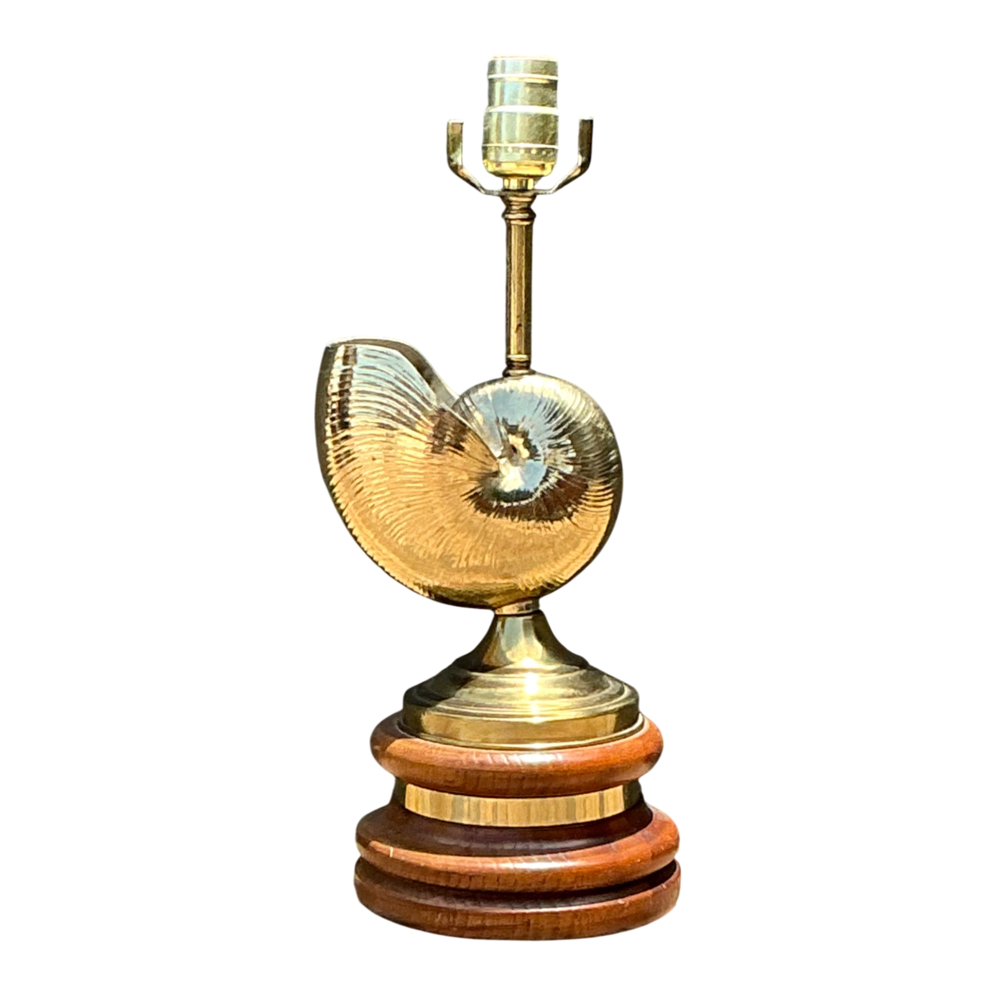 Vintage Brass Nautilus Shell Table Lamp