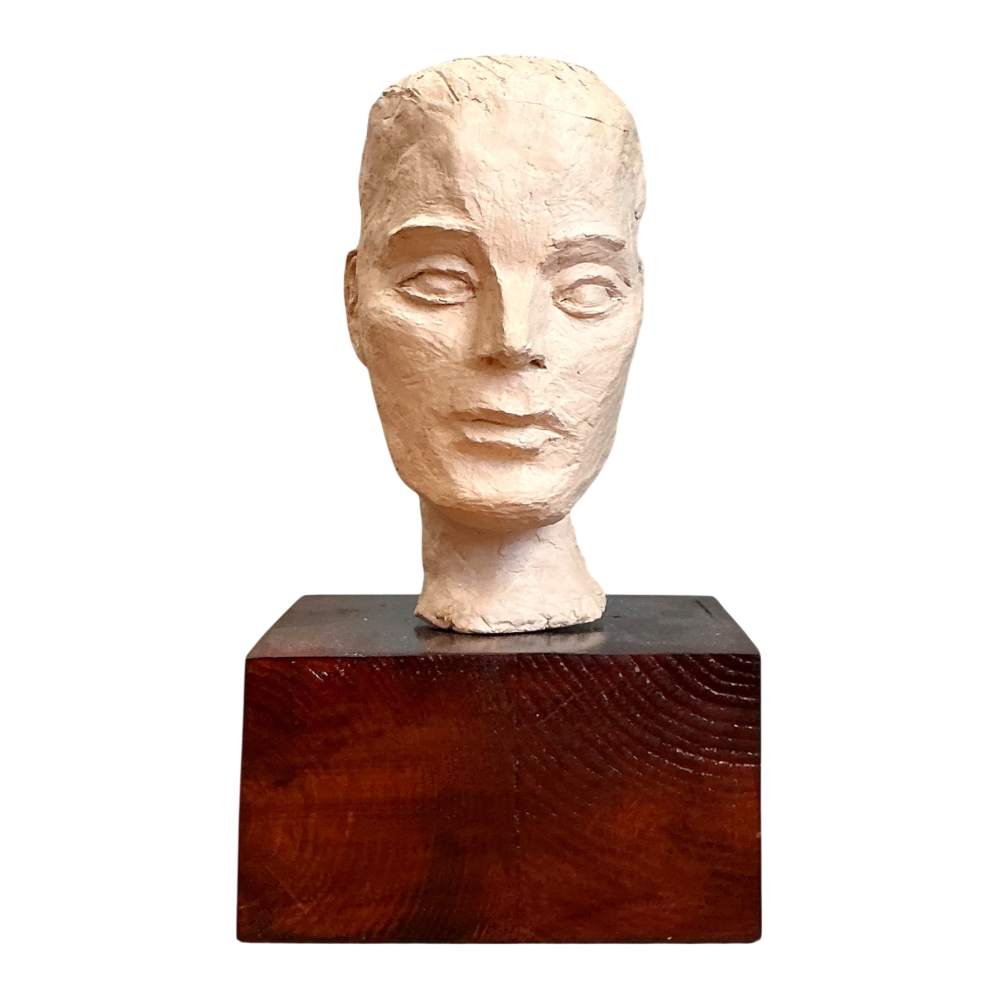 Vintage Plaster Bust Of Man
