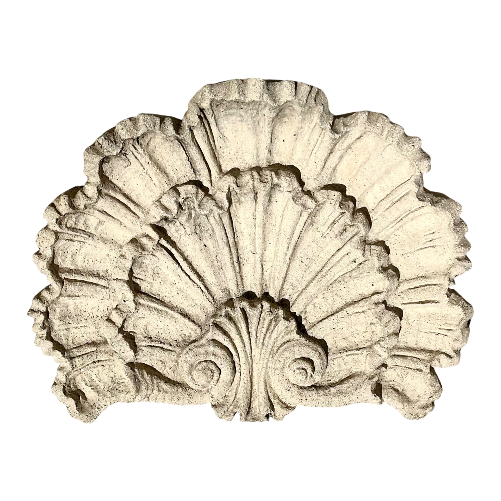 Vintage Concrete Shell Wall Plaque