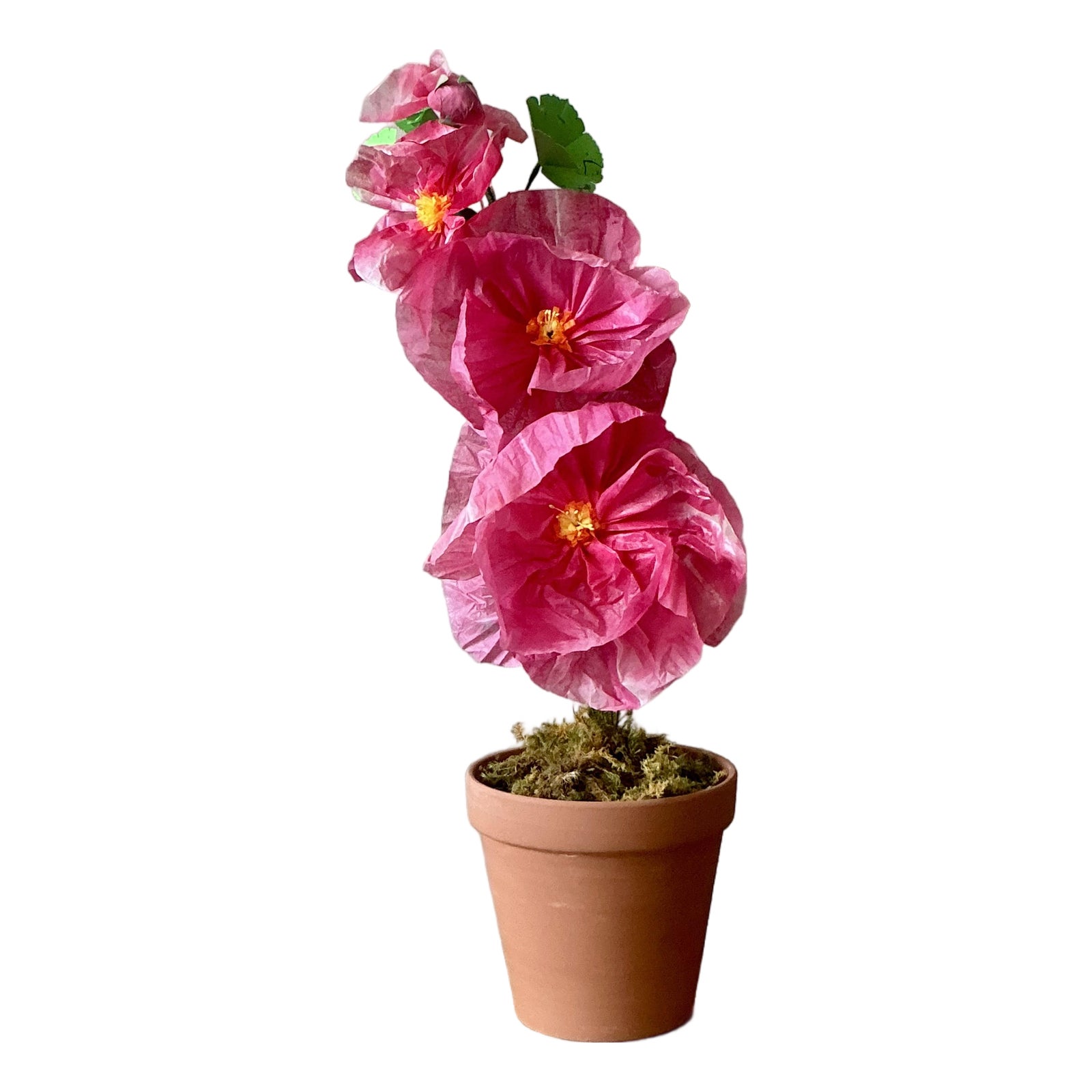 Contemporary Hand Rolled Paper Flowers