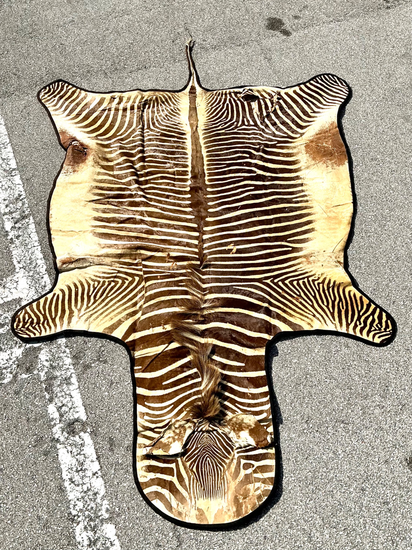 Vintage Zebra Hide Rug - Detail view