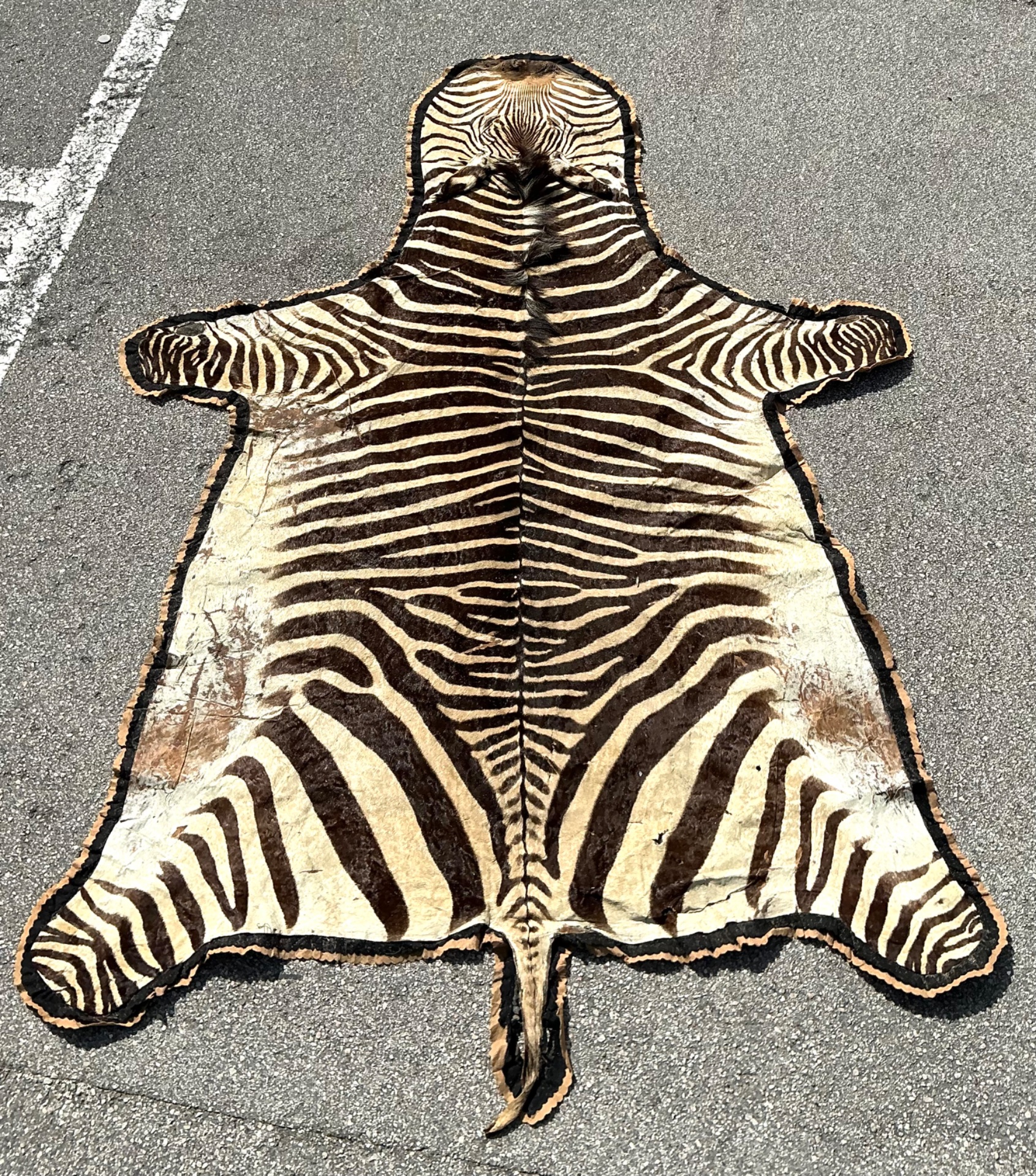 Vintage Zebra Hide Rug - Top view