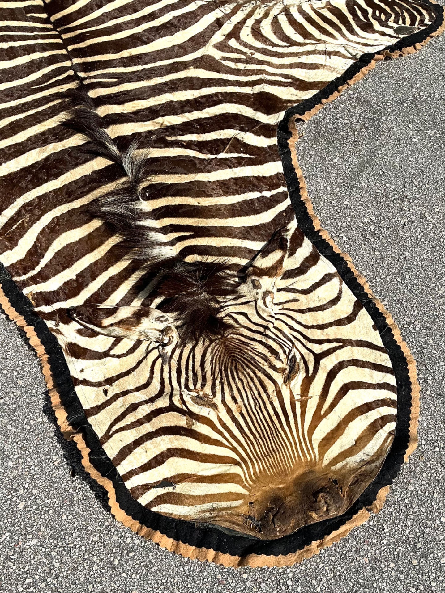 Vintage Zebra Hide Rug - Detail view