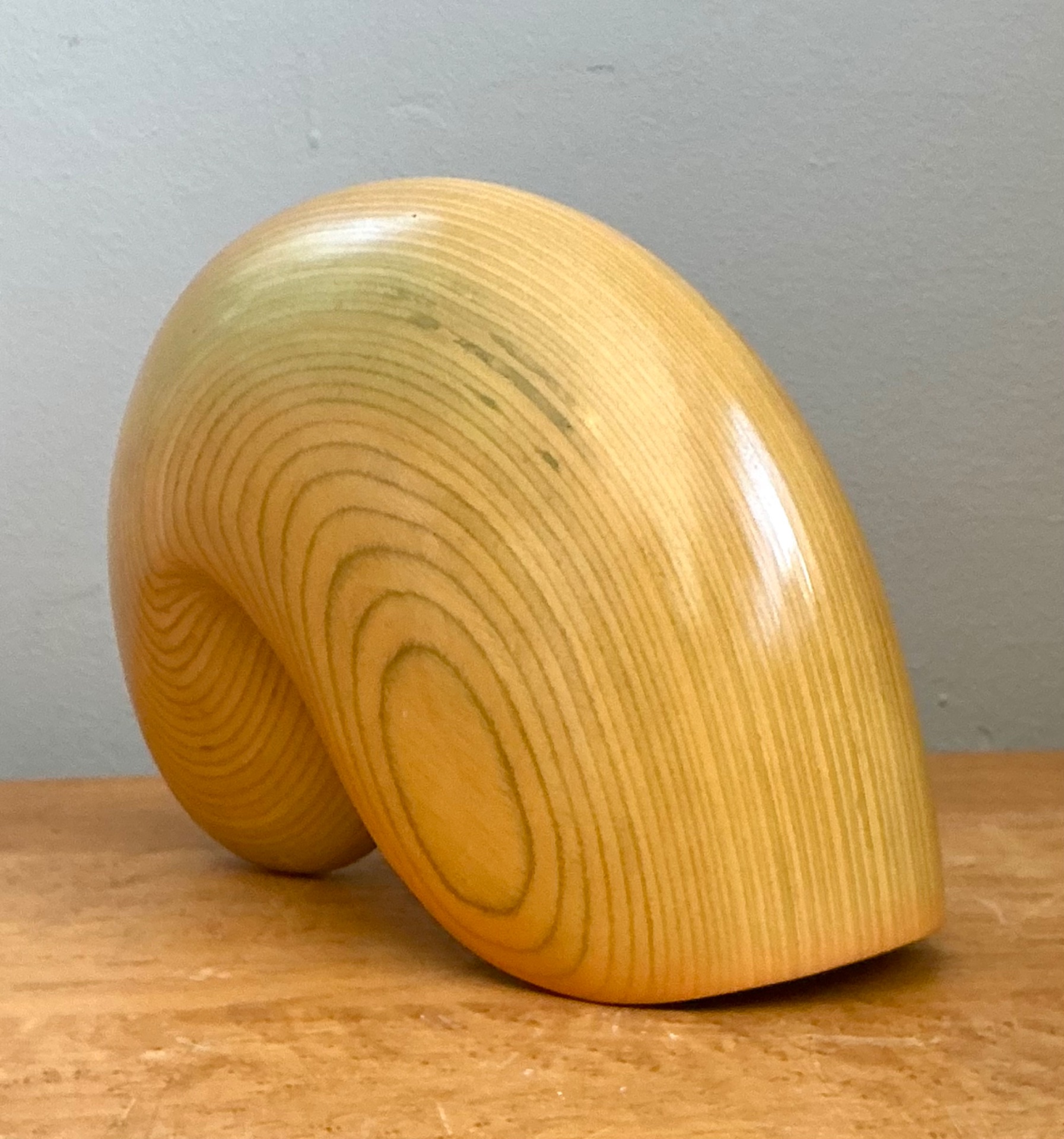 Vintage Abstract Wood Nautilus Shell Sculpture - Side view