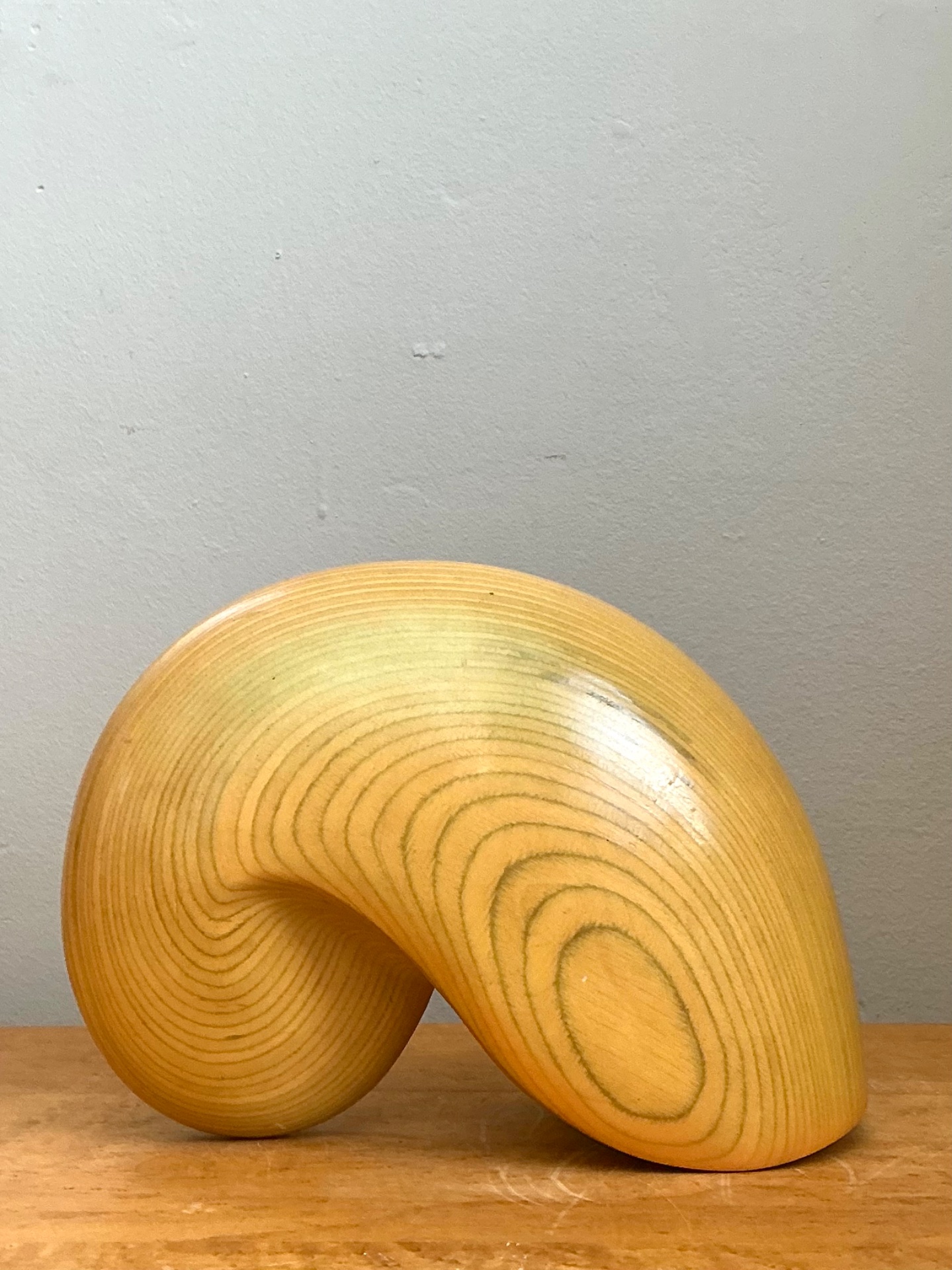 Vintage Abstract Wood Nautilus Shell Sculpture - Top view