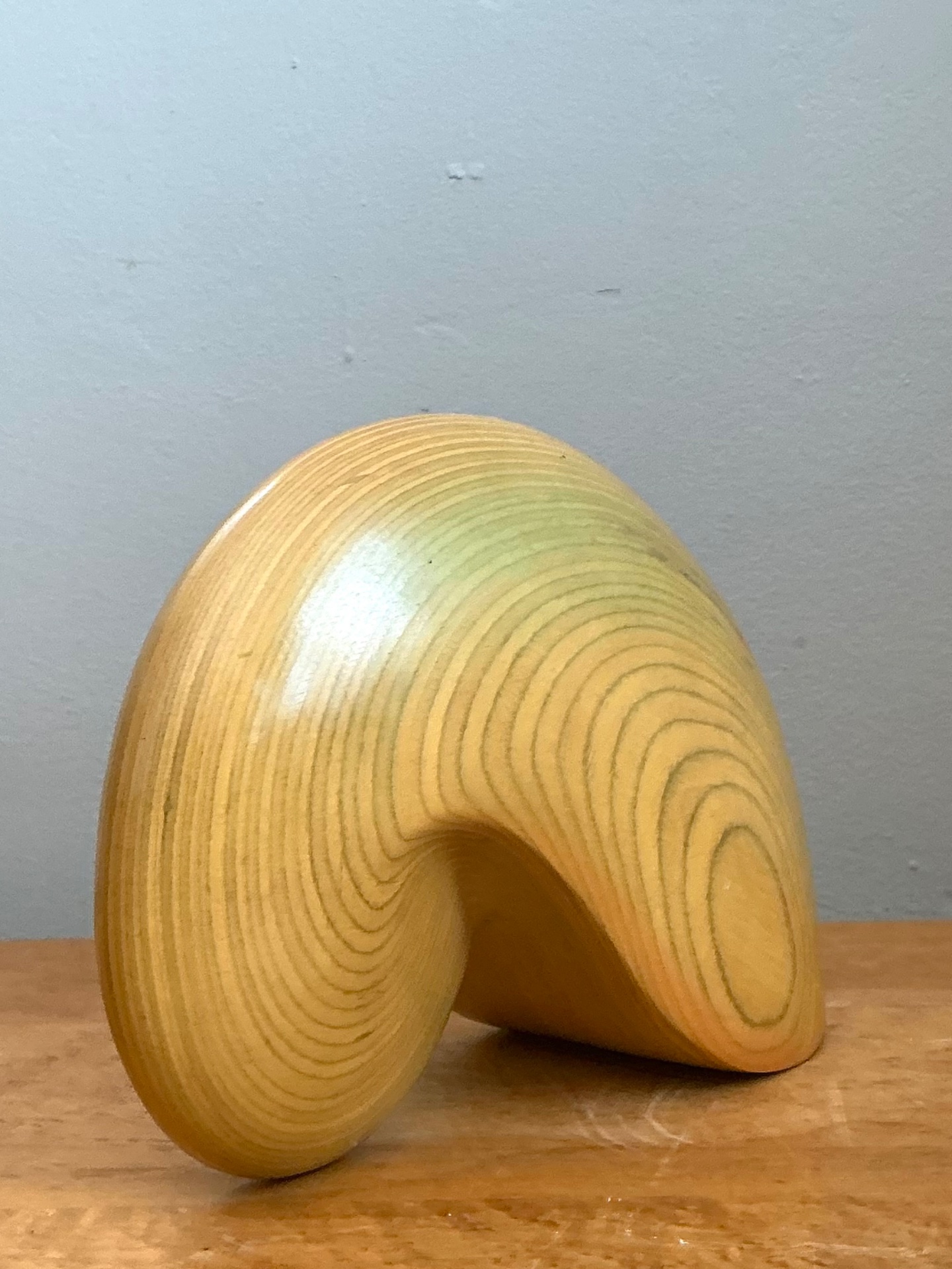 Vintage Abstract Wood Nautilus Shell Sculpture - Back view