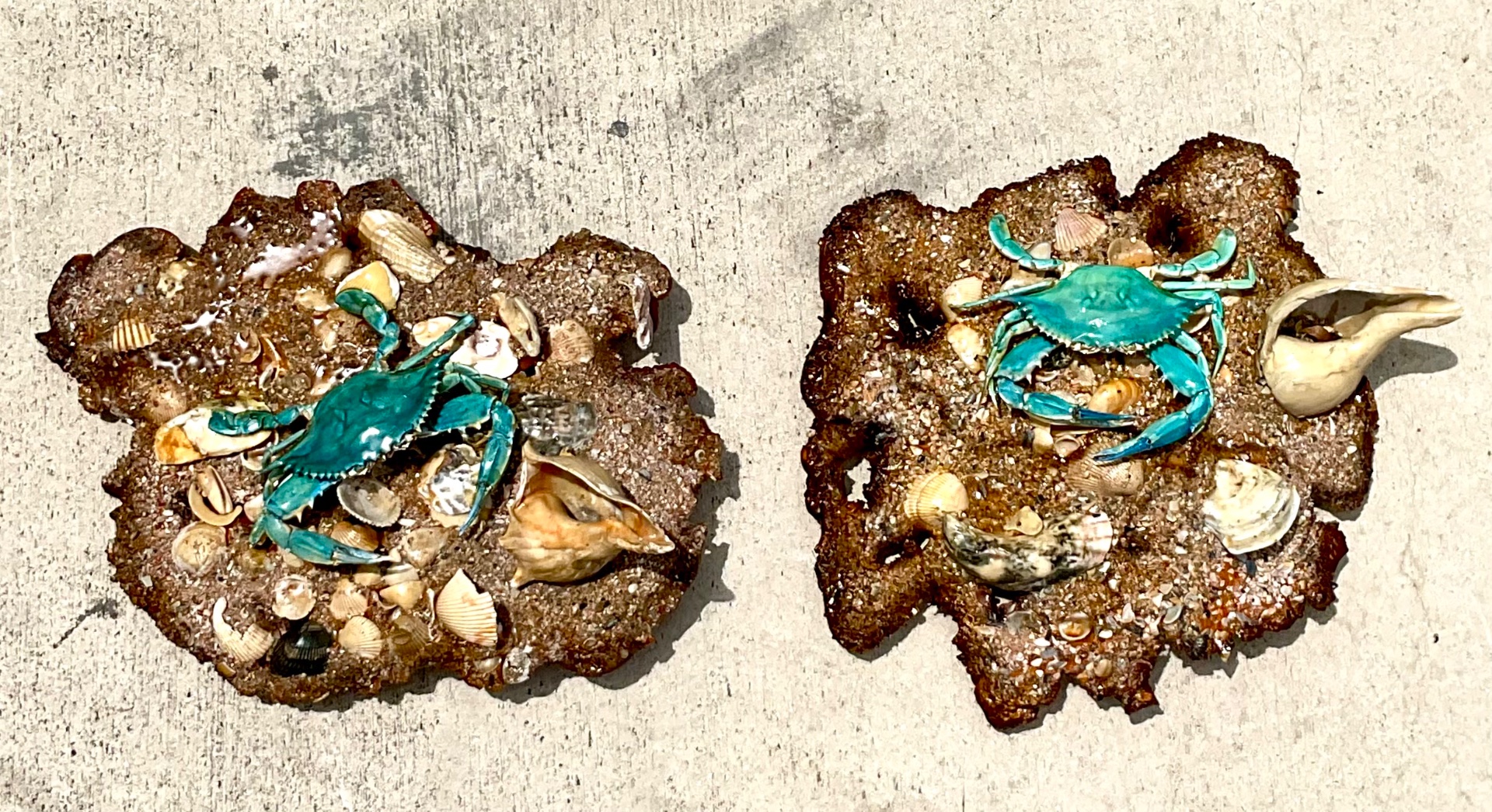 Vintage Coastal Crab and Shells Wall Art - Back view